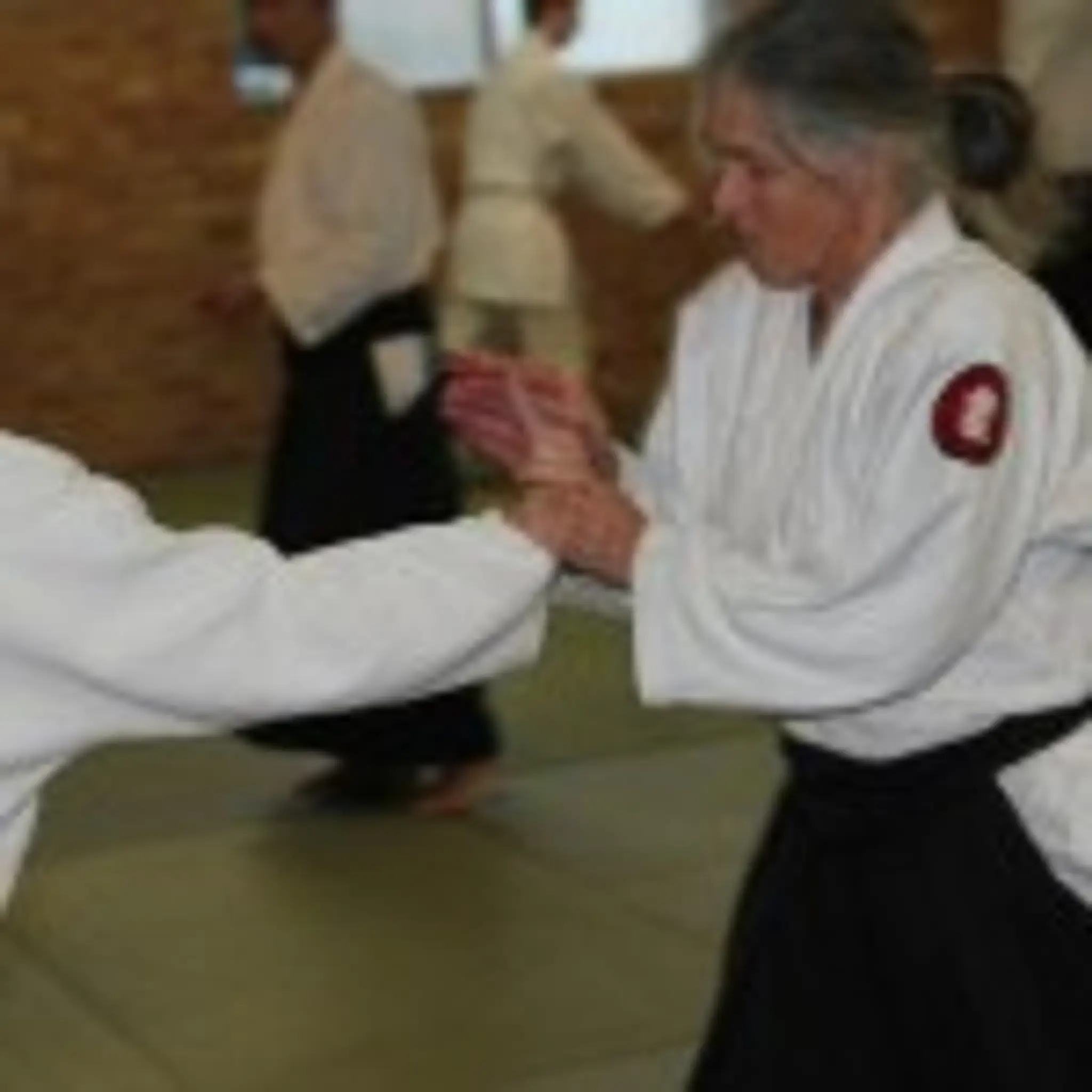 Aikido Kokikai Australia Lismore Dojo