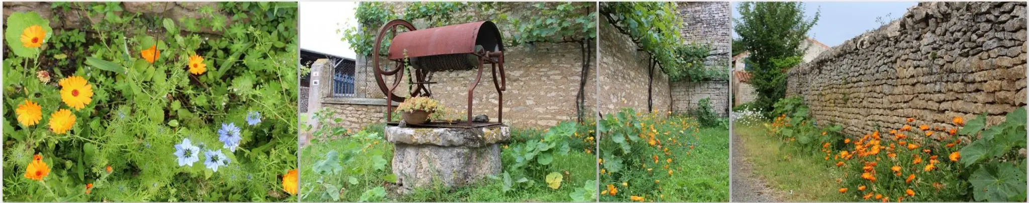 Ancienne Carrière de Cinq Coux
