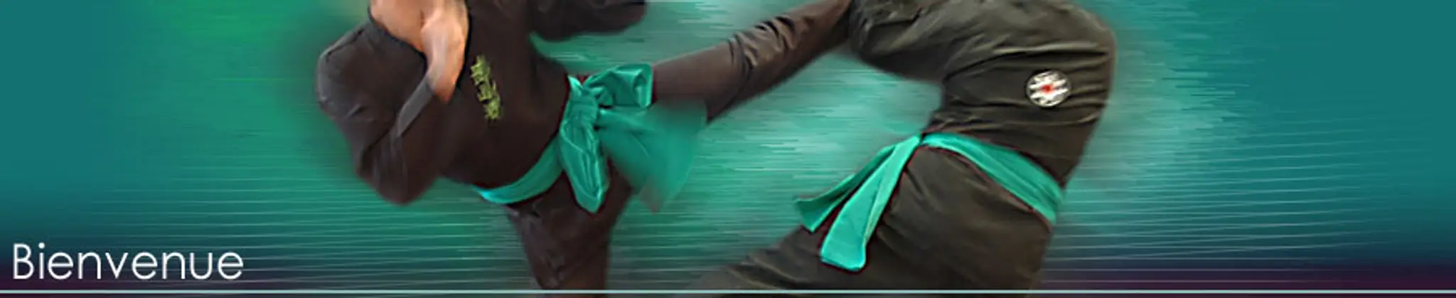 Club Viet Vo Dao Rochelais