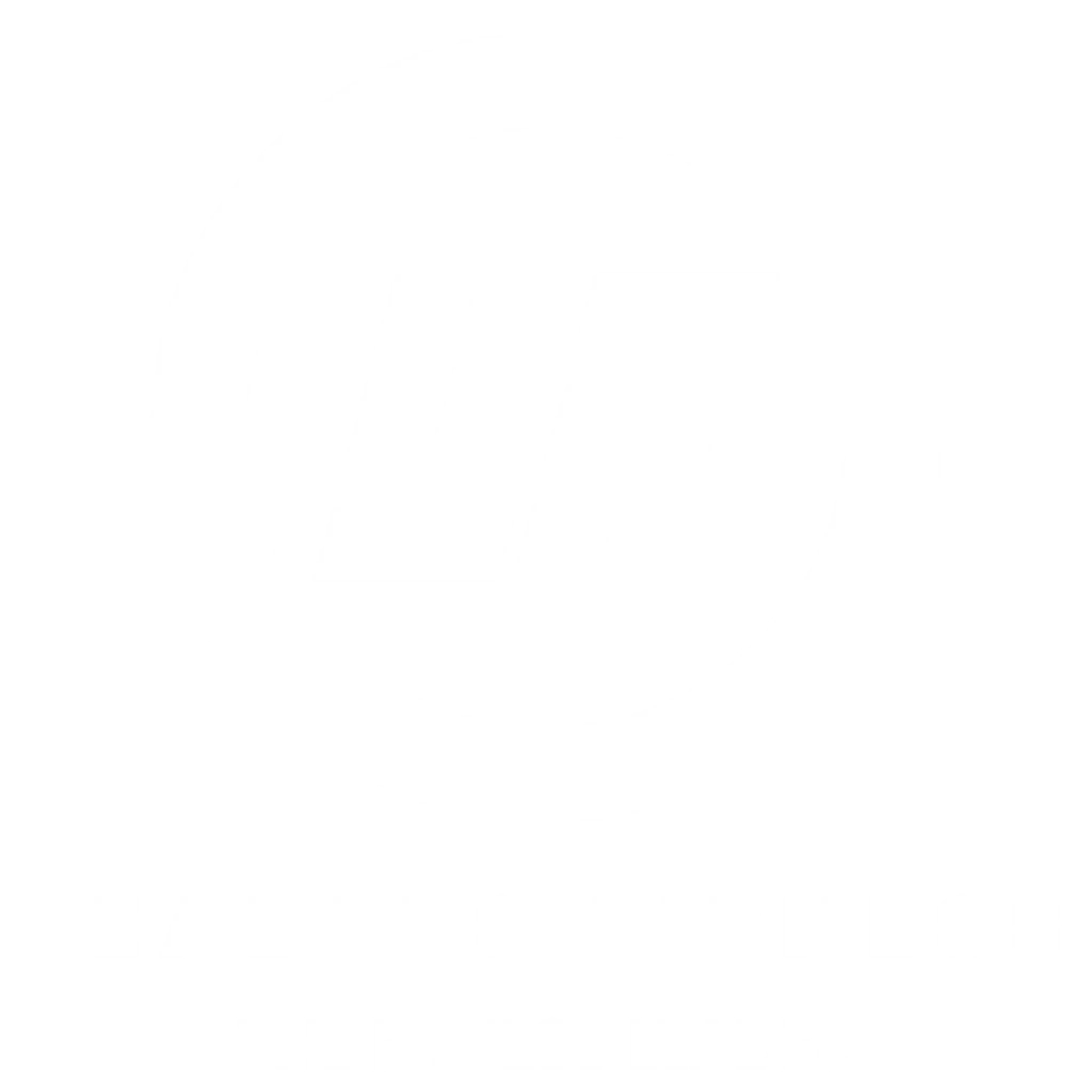 Leaders Fitness Academy