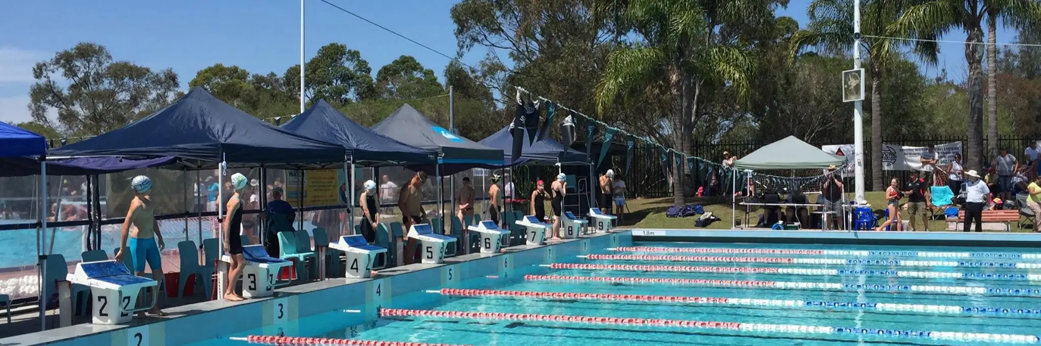 Jones Tempe Torpedoes Swimming Club