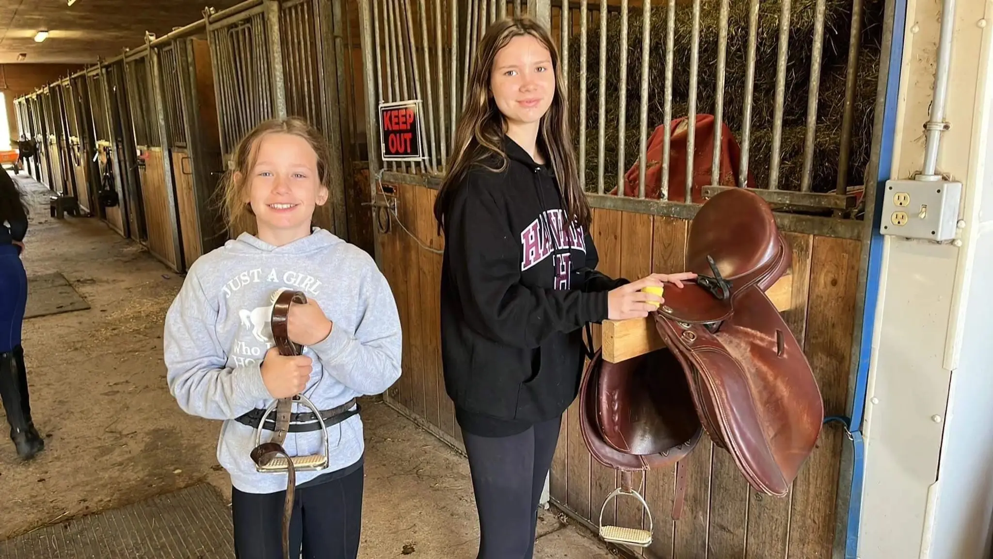 BR Equestrian Services