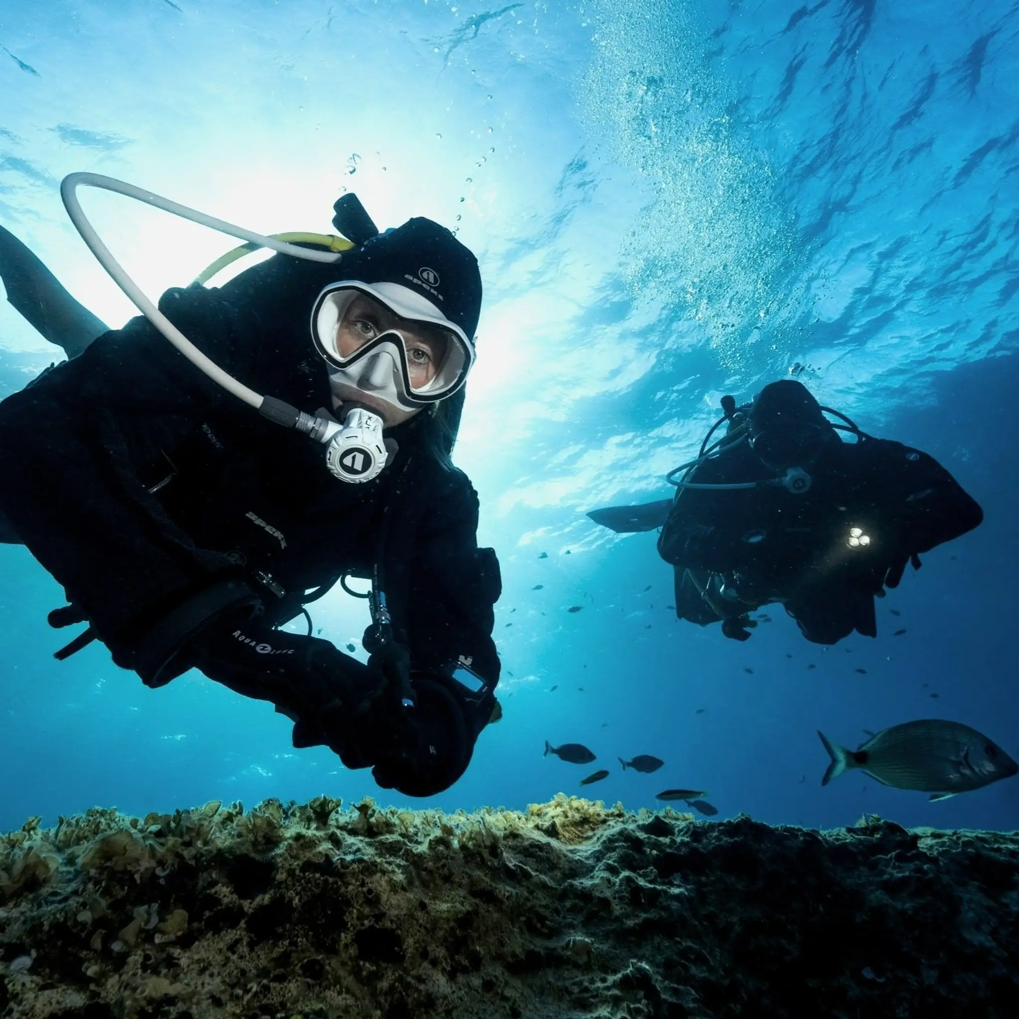 Rowand's Reef-Dive Gear/Learn to Dive