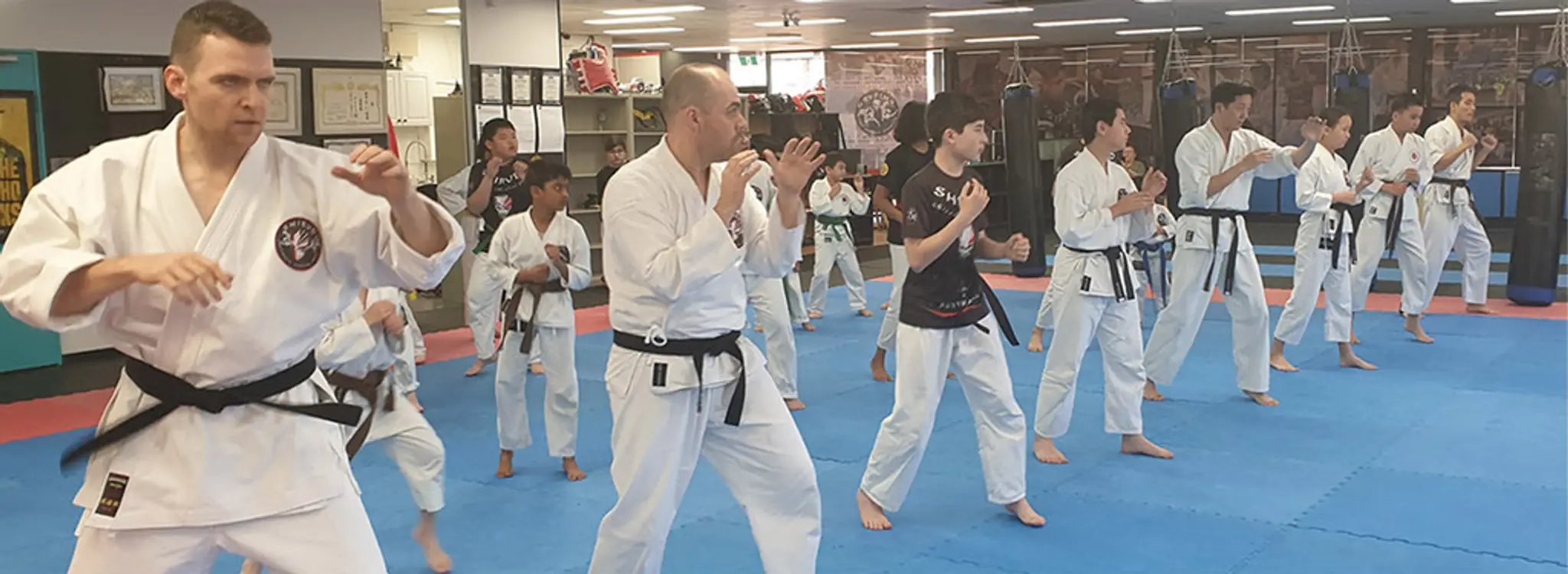 SHIRUDO Self Defence