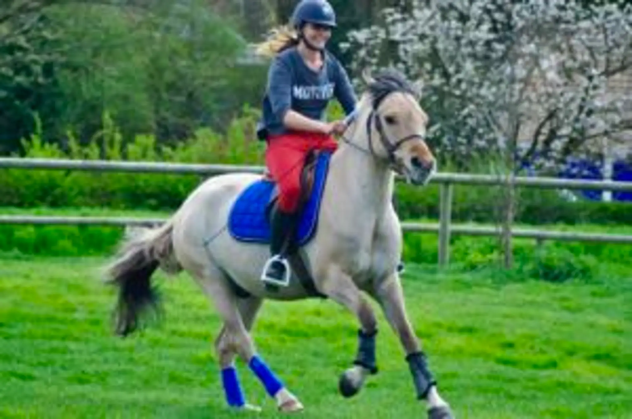 Ecurie Des Huards