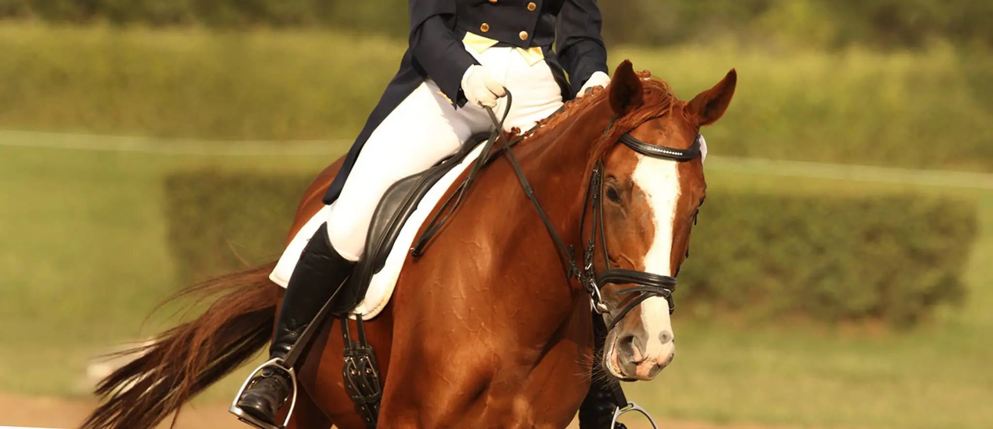 Mullaghmore Equestrian Centre