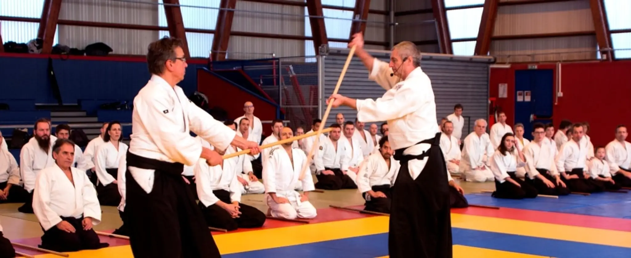 aikido 85