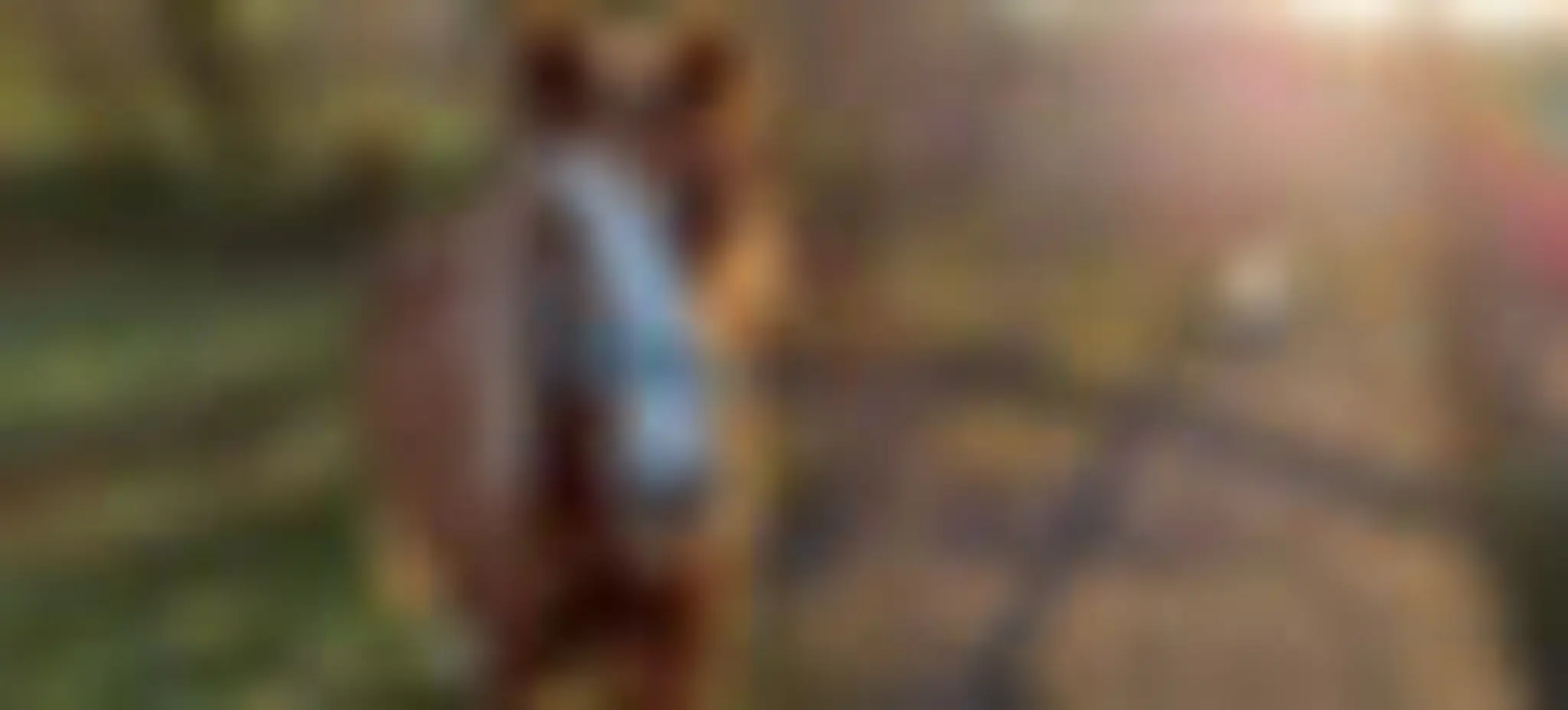 Dean Castle Riding Centre