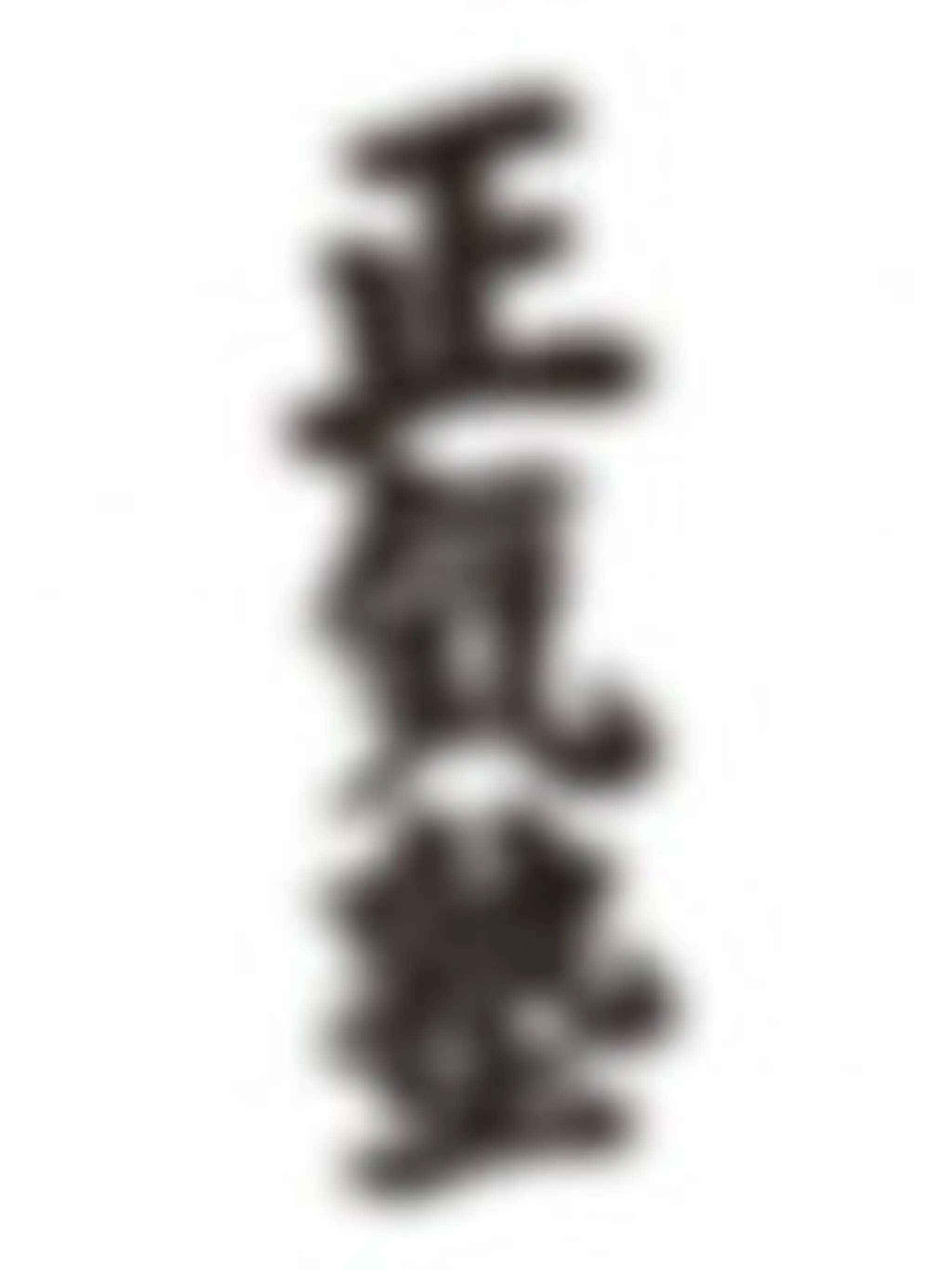 Shoden Martial arts & fitness