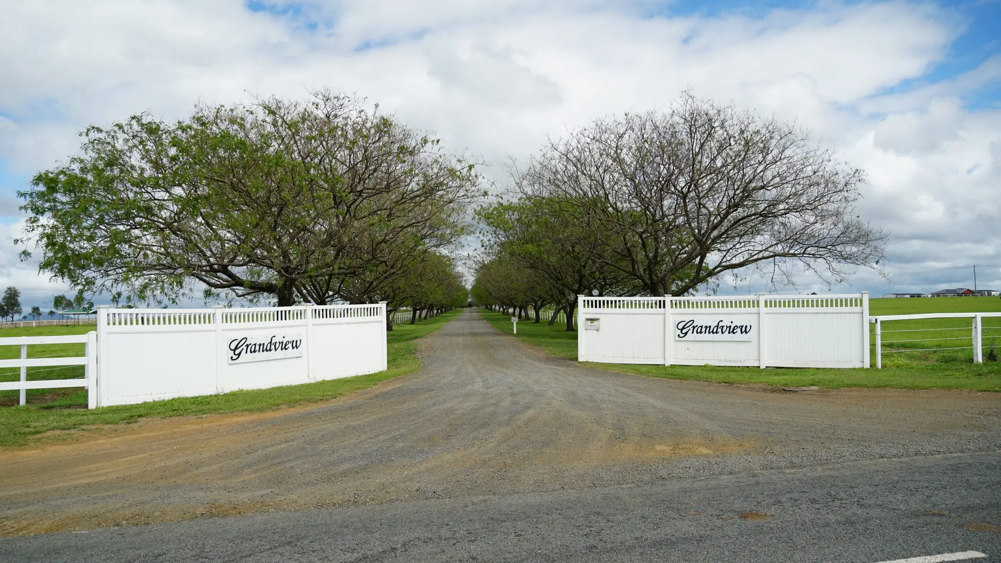 Grandview Stud