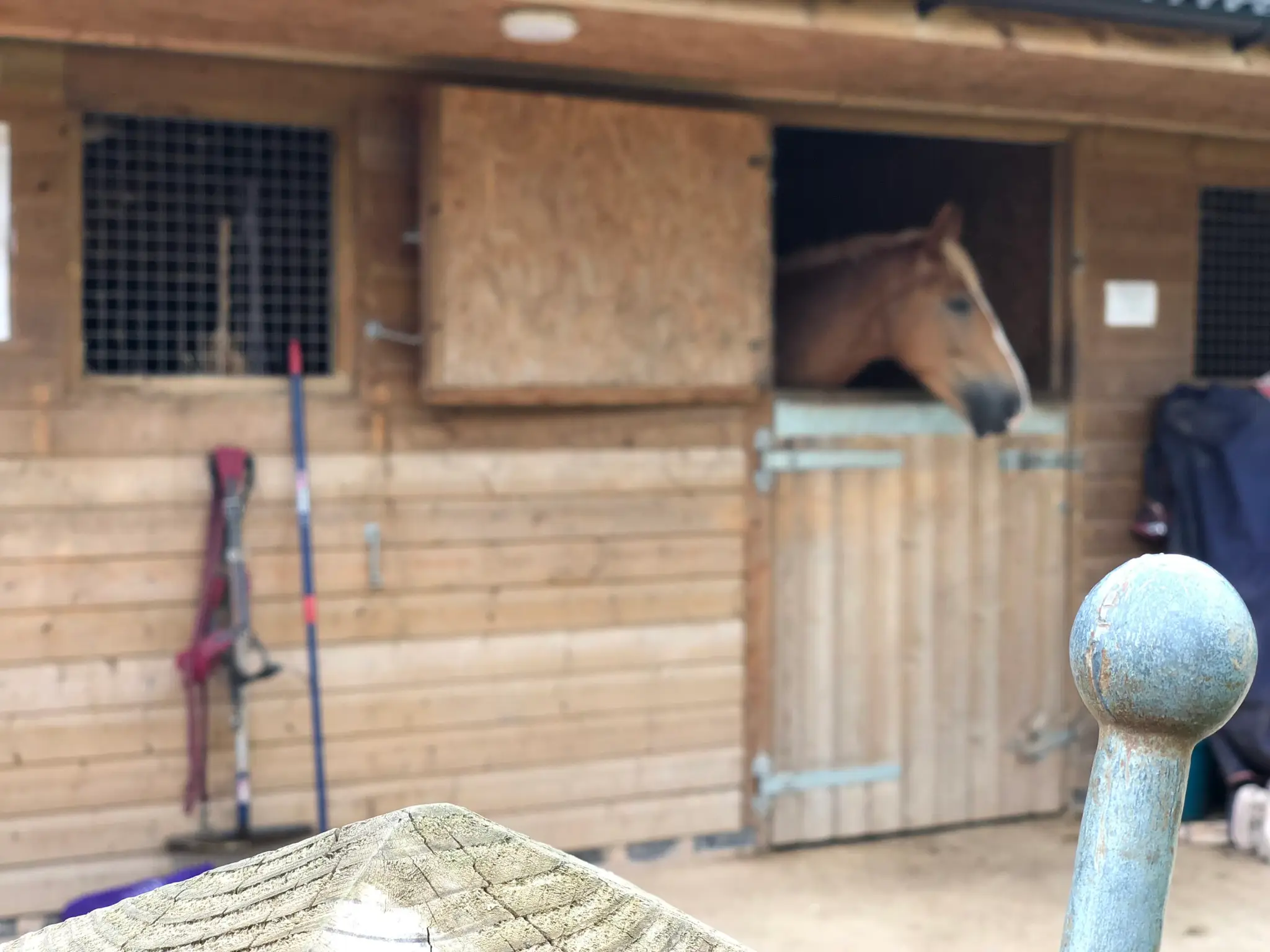 Putley Riding School