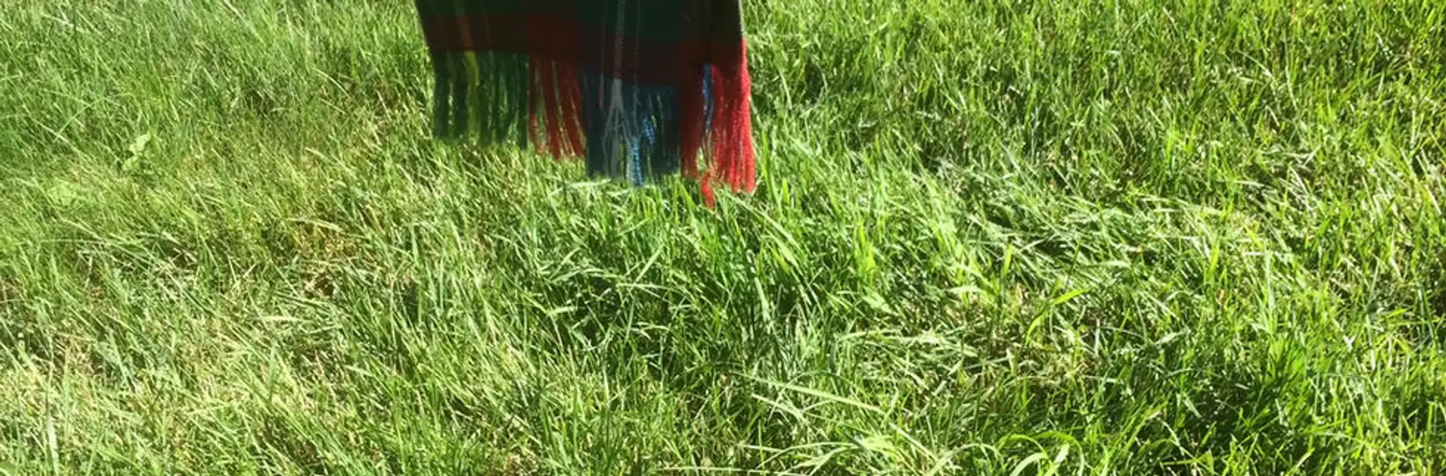 Forrester School of Dance