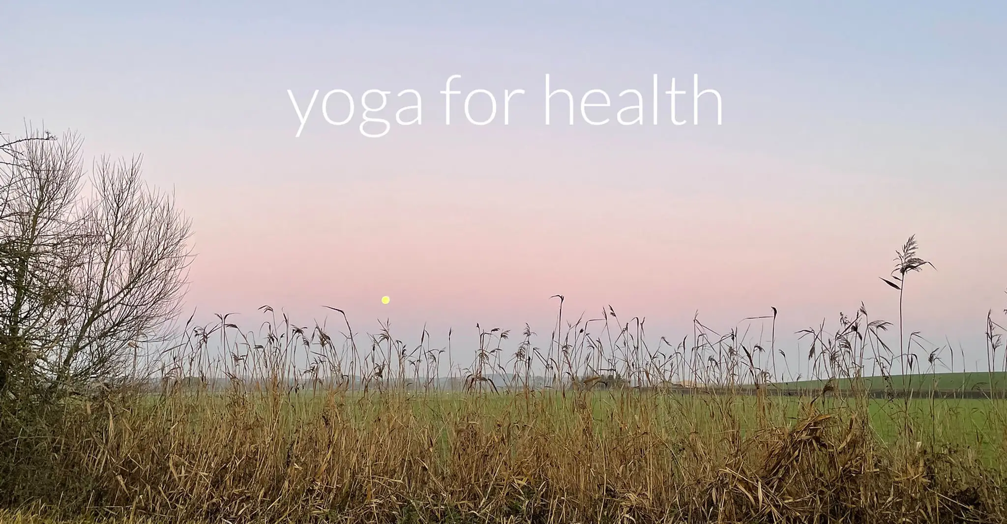 MADELEINE SCOTT YOGA, SOMERSET