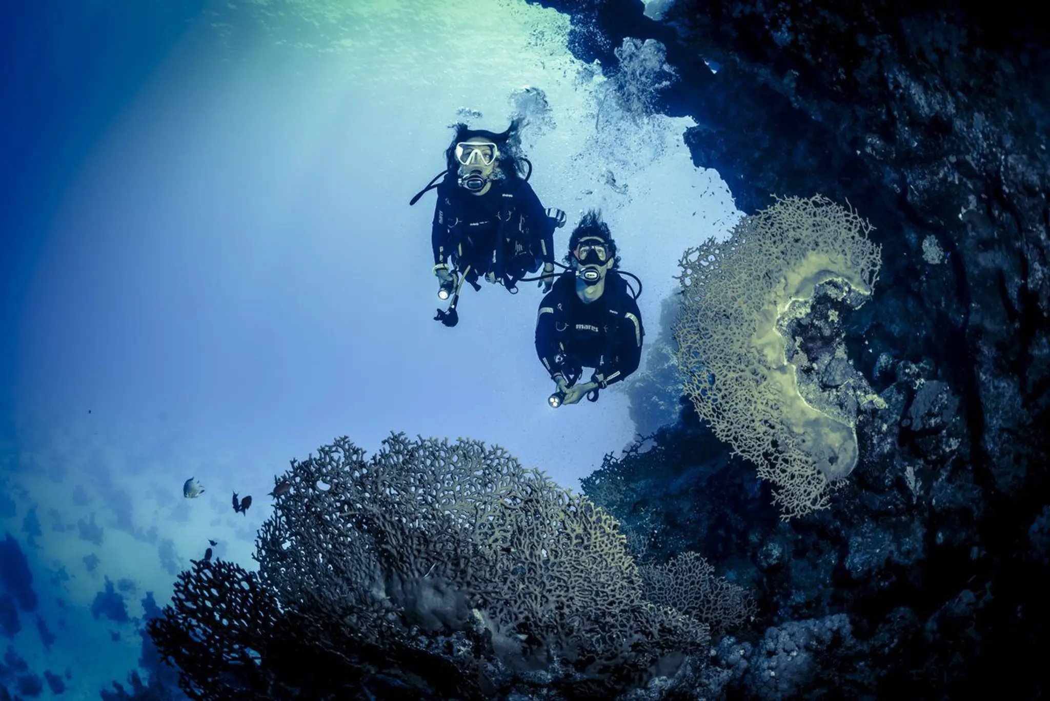 Seahawks SCUBA | Scuba diving in Havelock | Scuba diving in Andaman