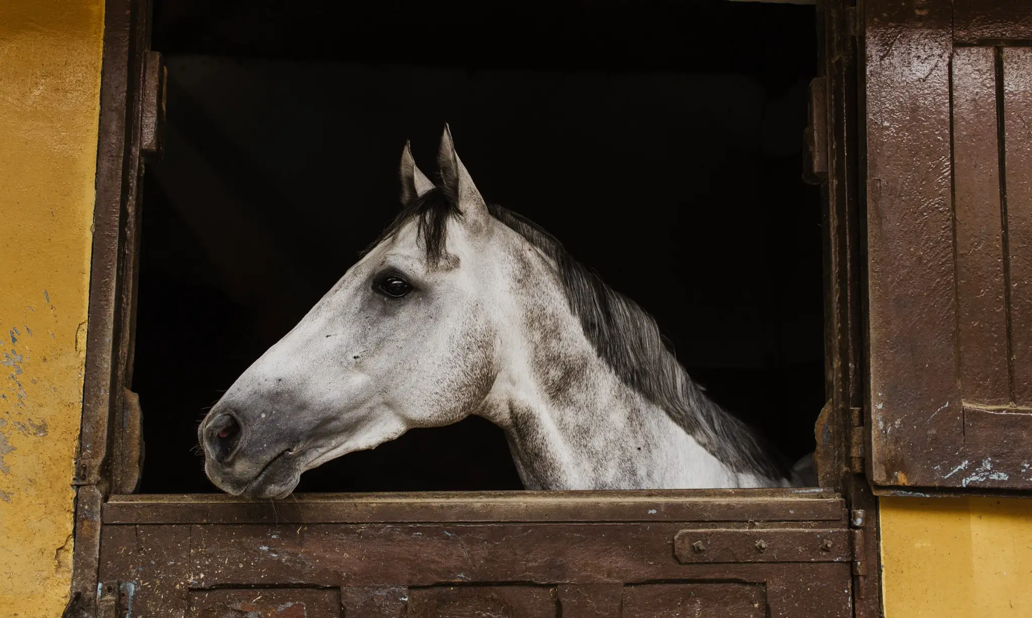 Equestrian Center De Hauterives