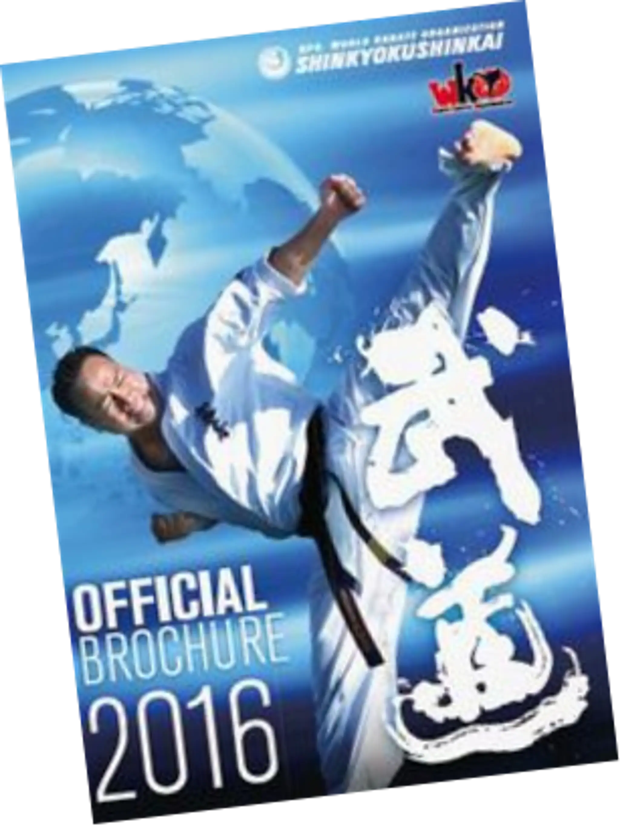 Ultimate Karate Academy