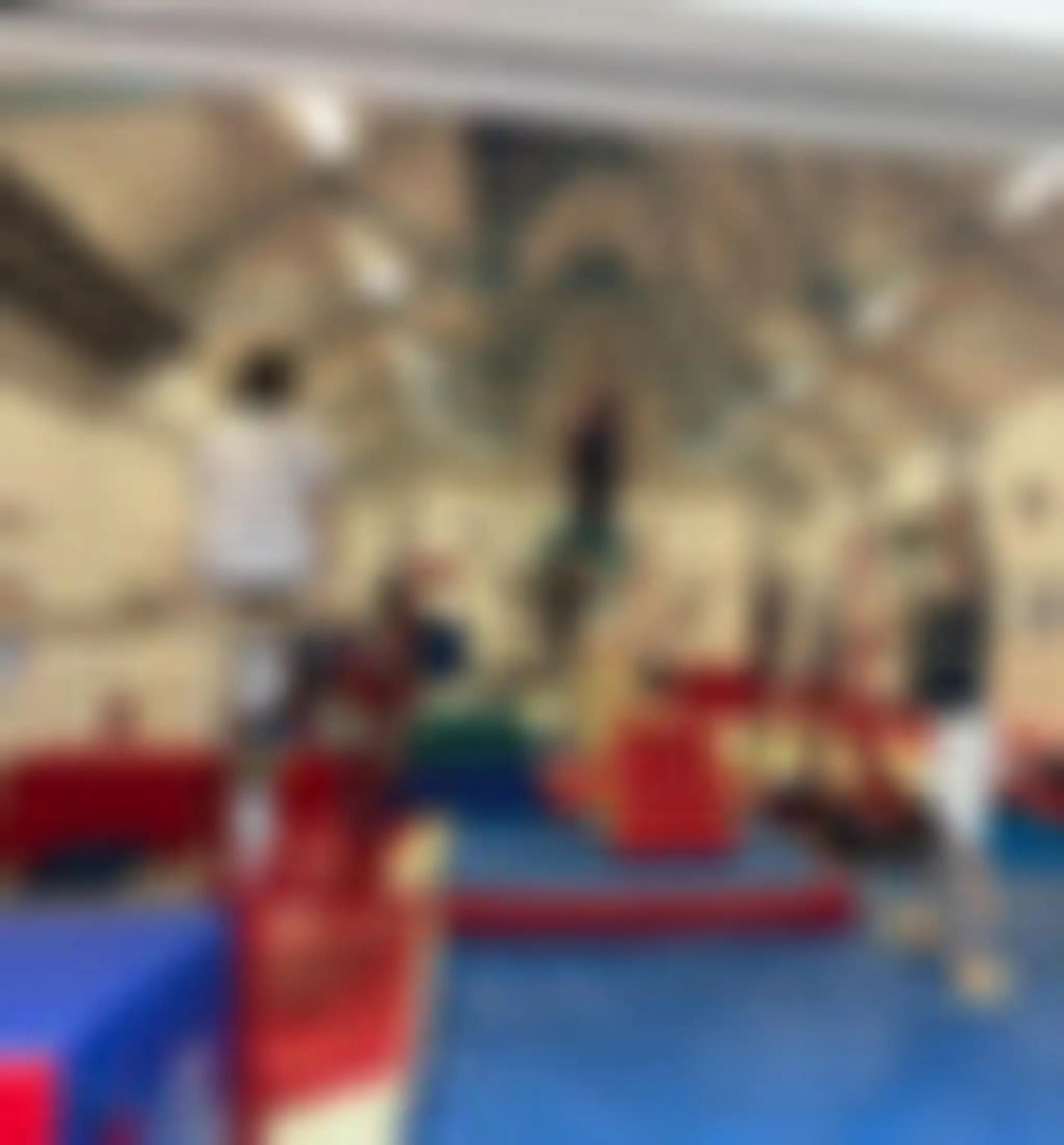 Berkhamsted Gymnastics Club