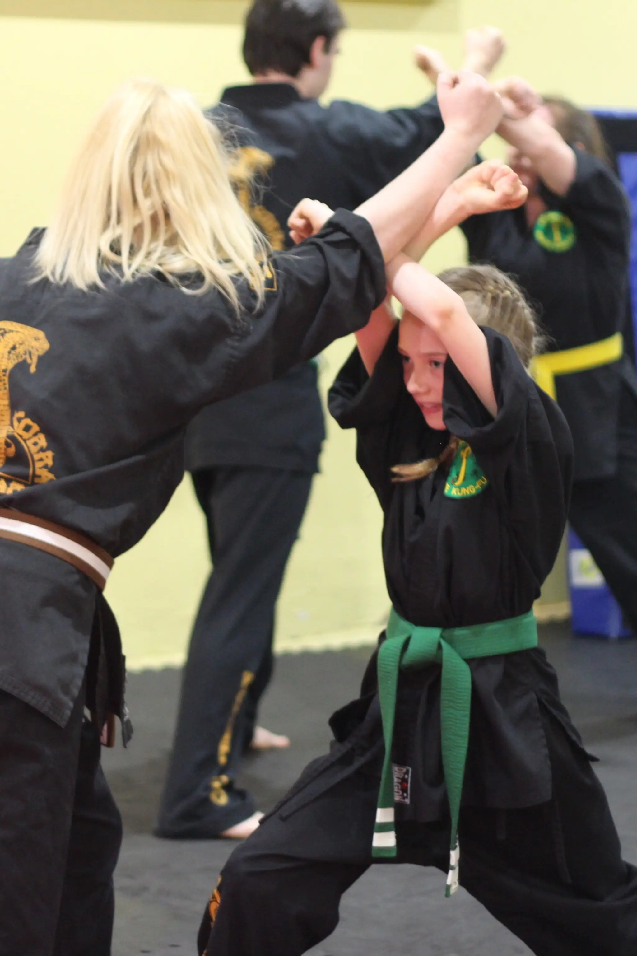 Golden Cobra School of Martial Arts