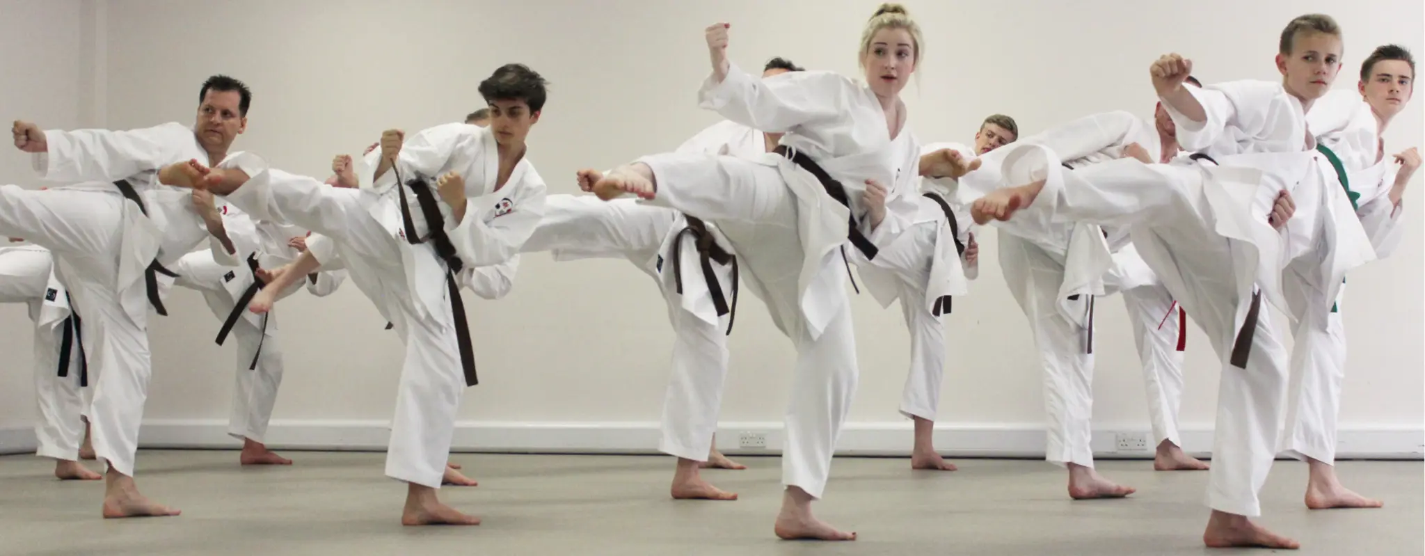 Gakusei Karate Springfield