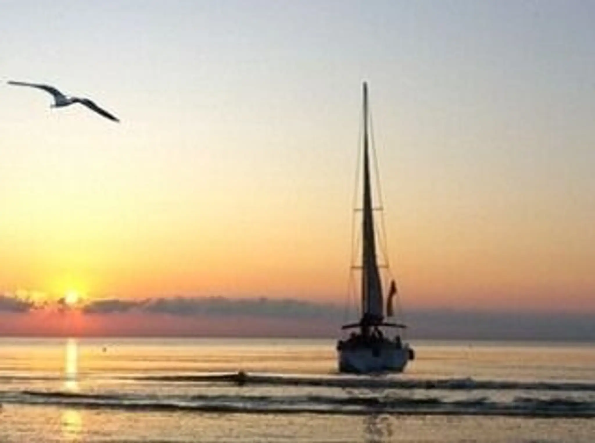 Royal Melbourne Sail Training Academy