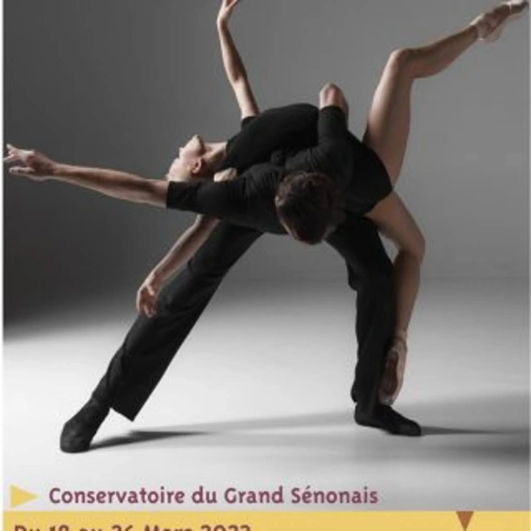 Conservatory Du Grand Sénonais