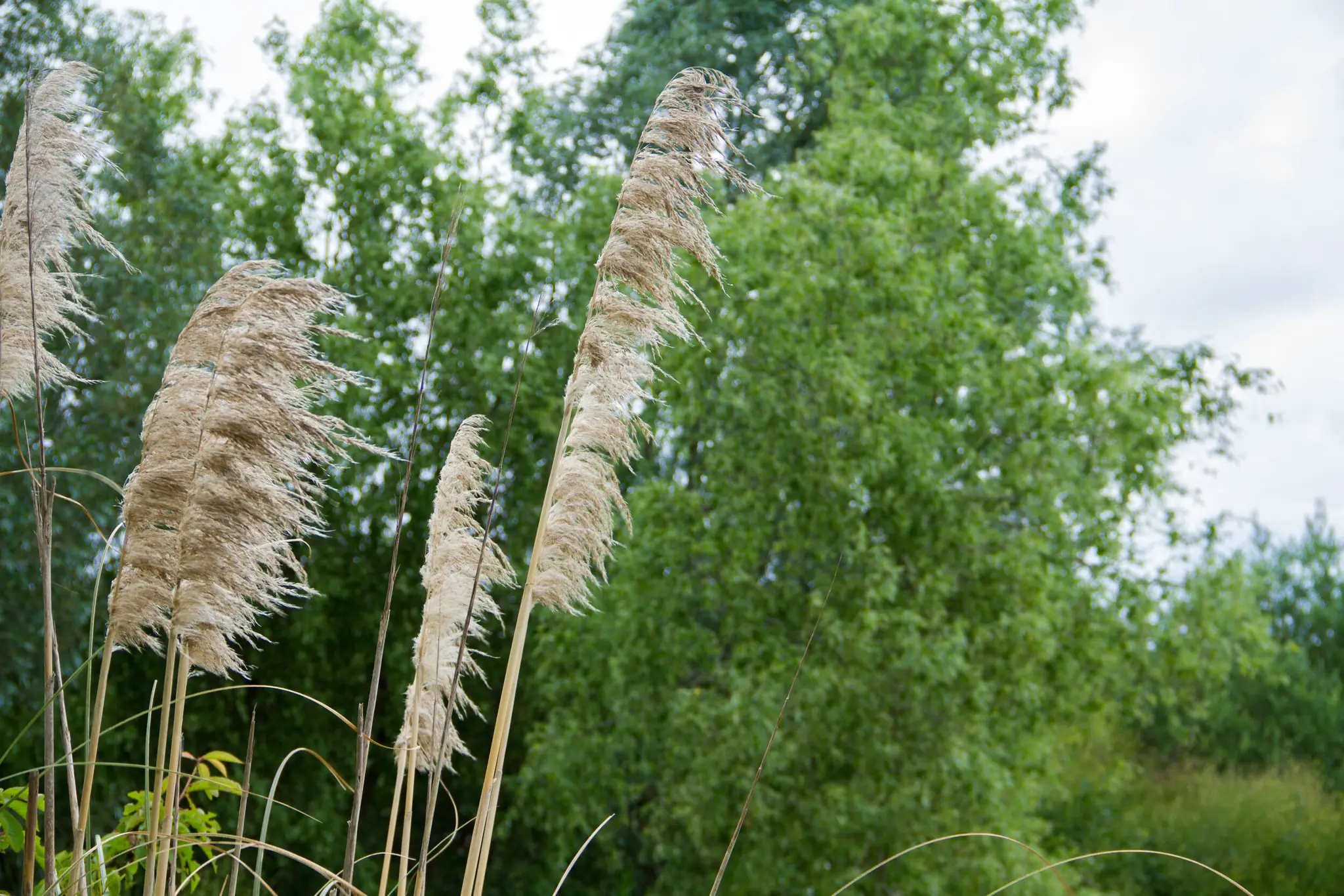 Churchgate Fishing Lakes