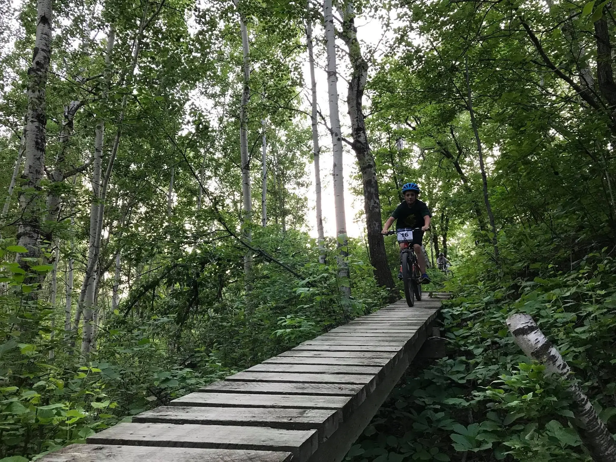 Northgate Trails Dauphin
