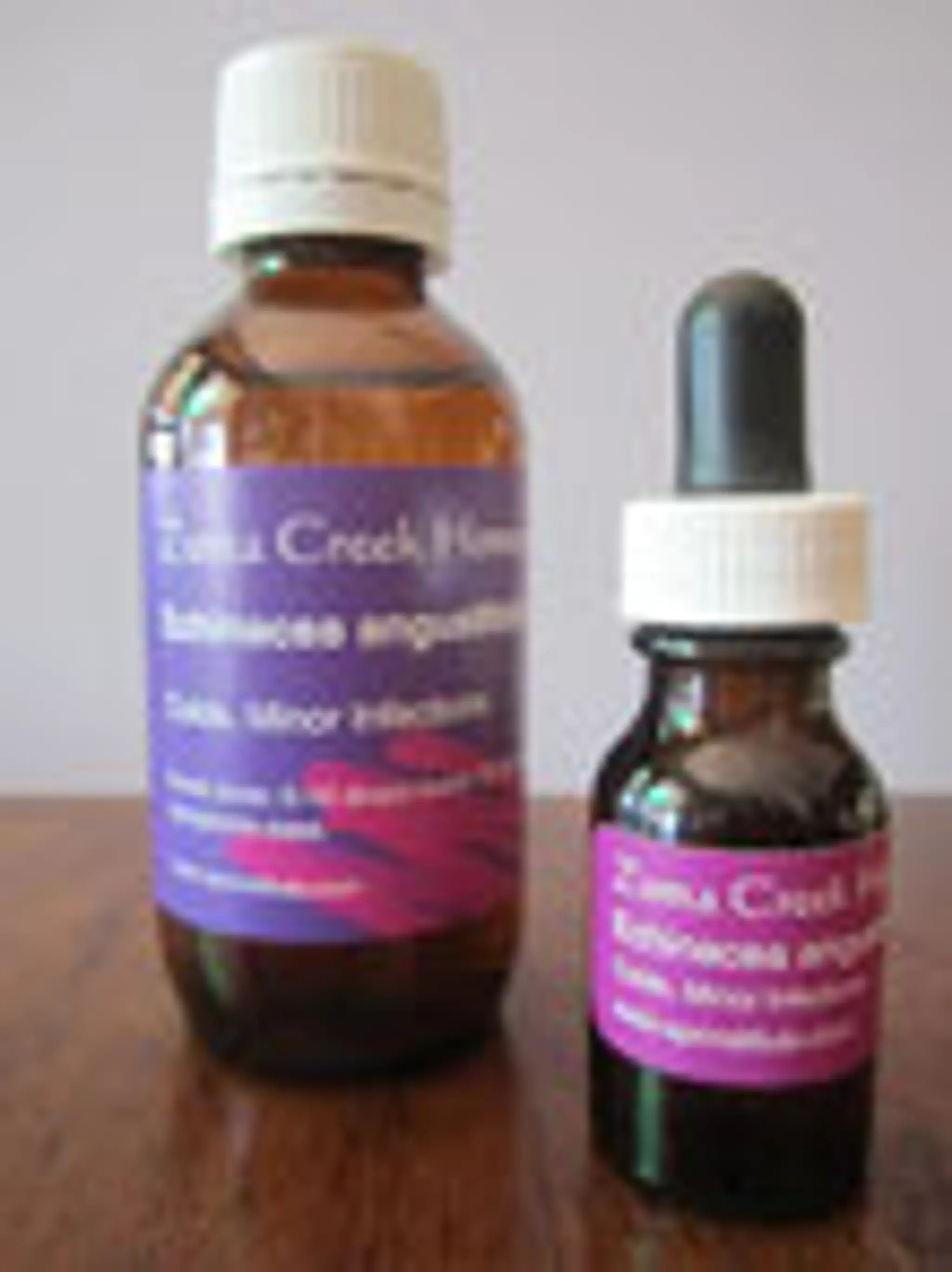 EQUINE POSITIONAL RELEASE INSTITUTE