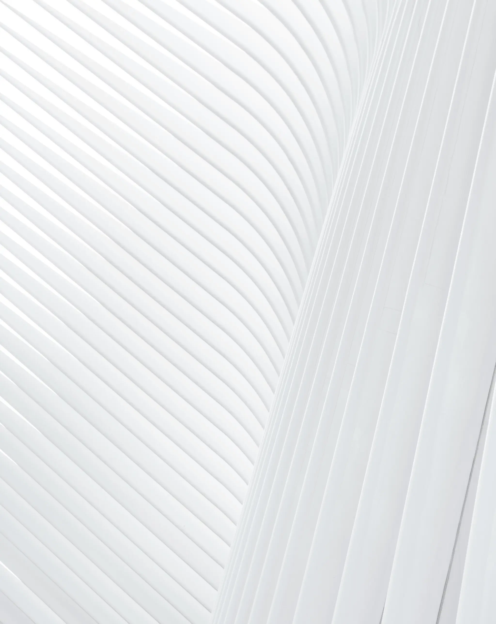 Volleyball Cape Breton