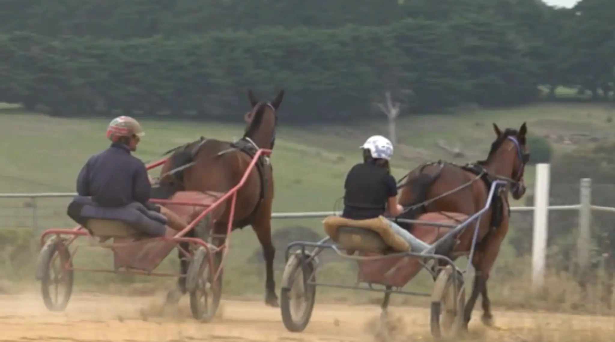 Rockhampton Harness Racing Club