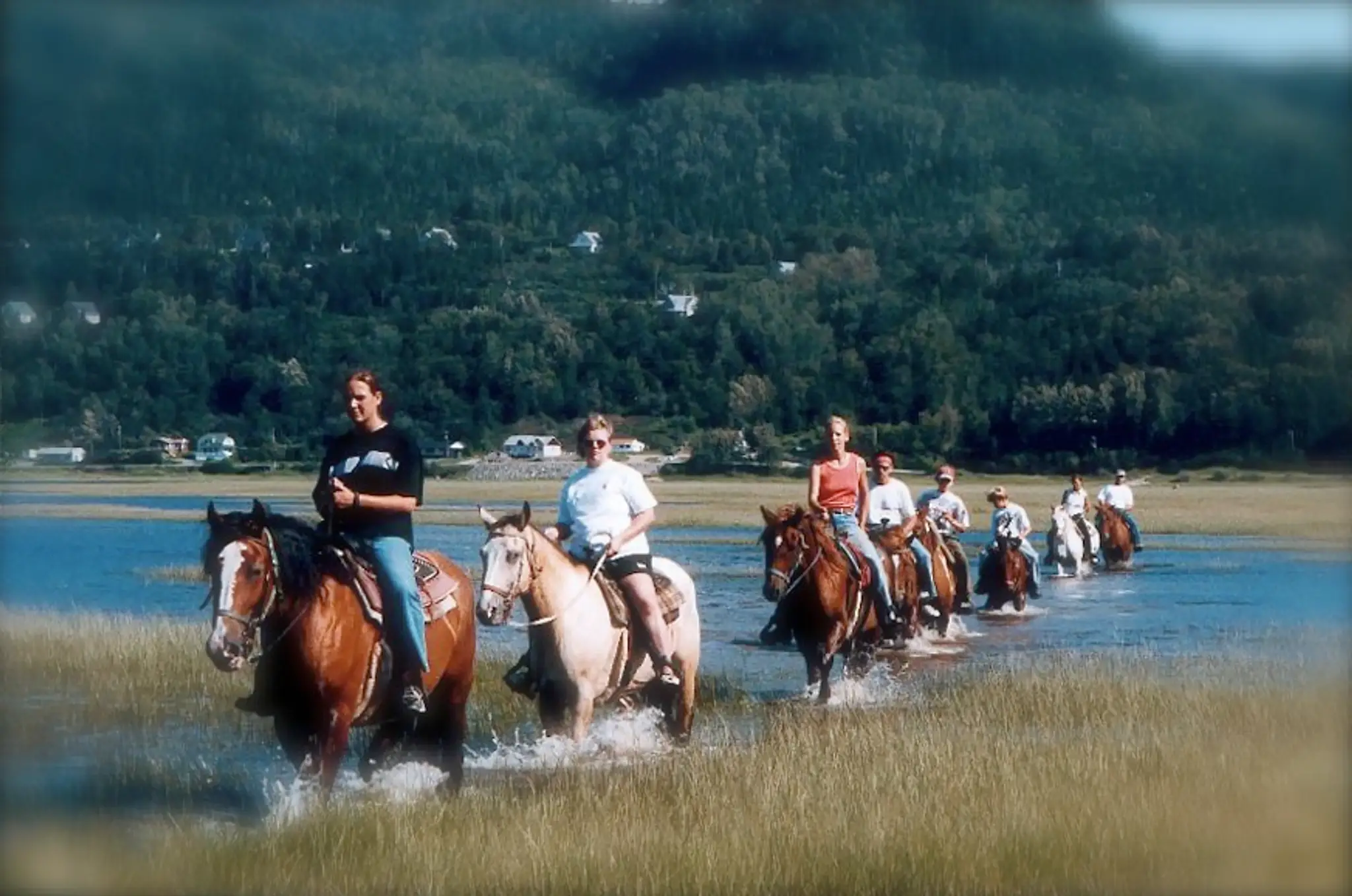 Centre Equestre Des Plateaux