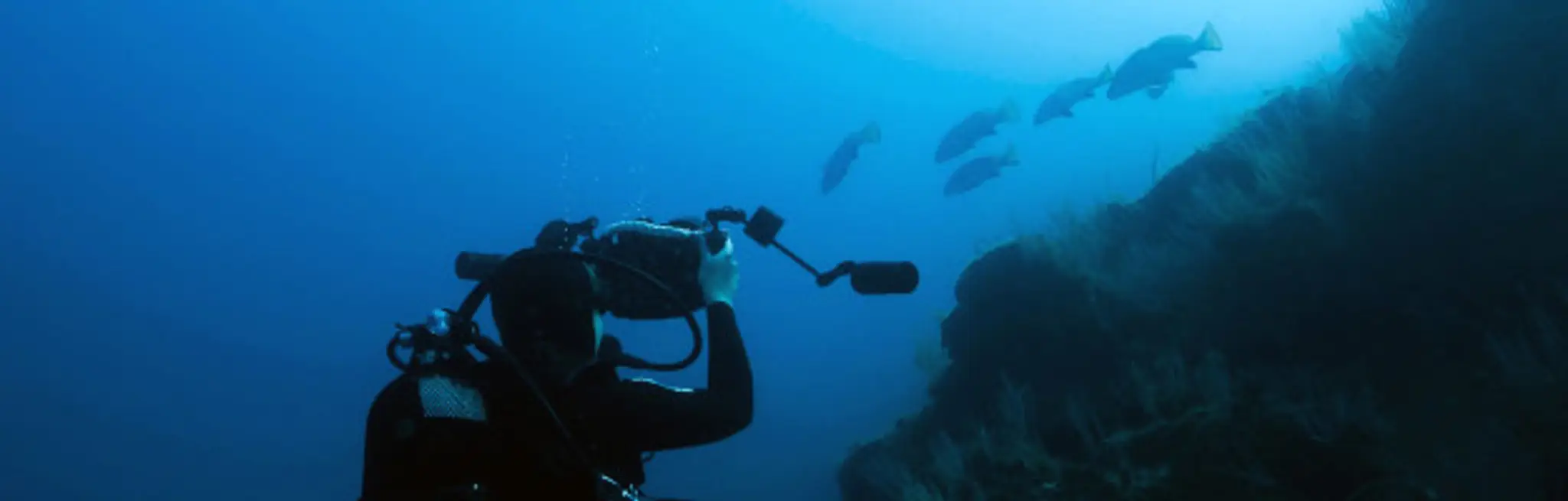 PlongéeBleue