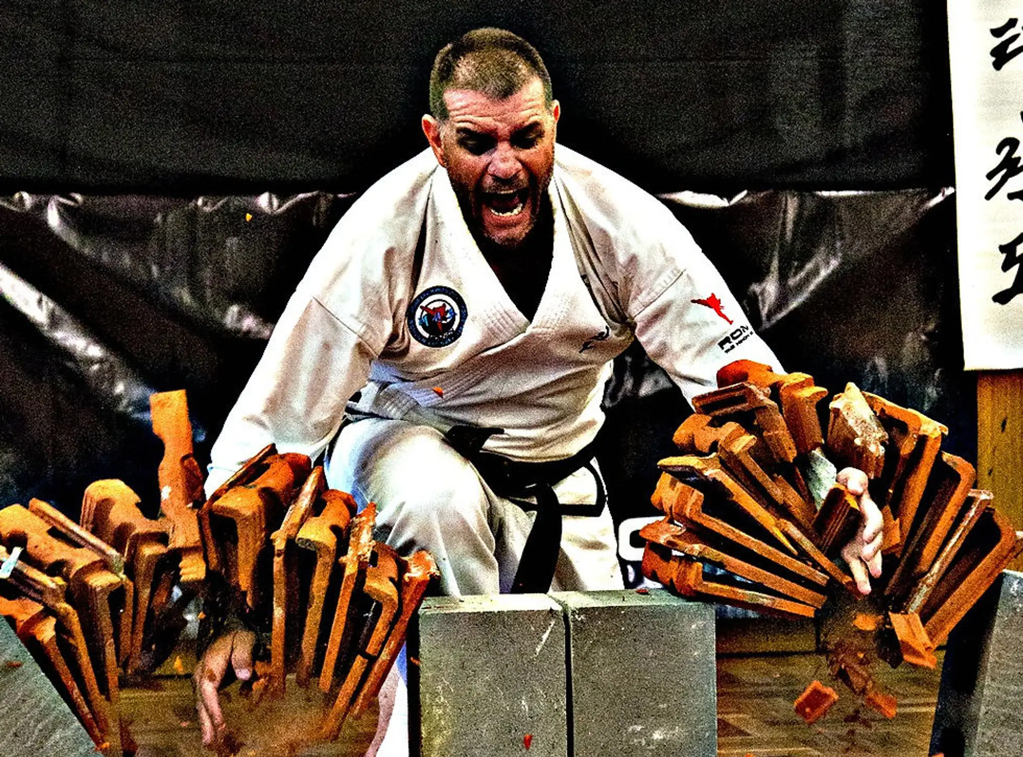ROM Tae Kwon Do