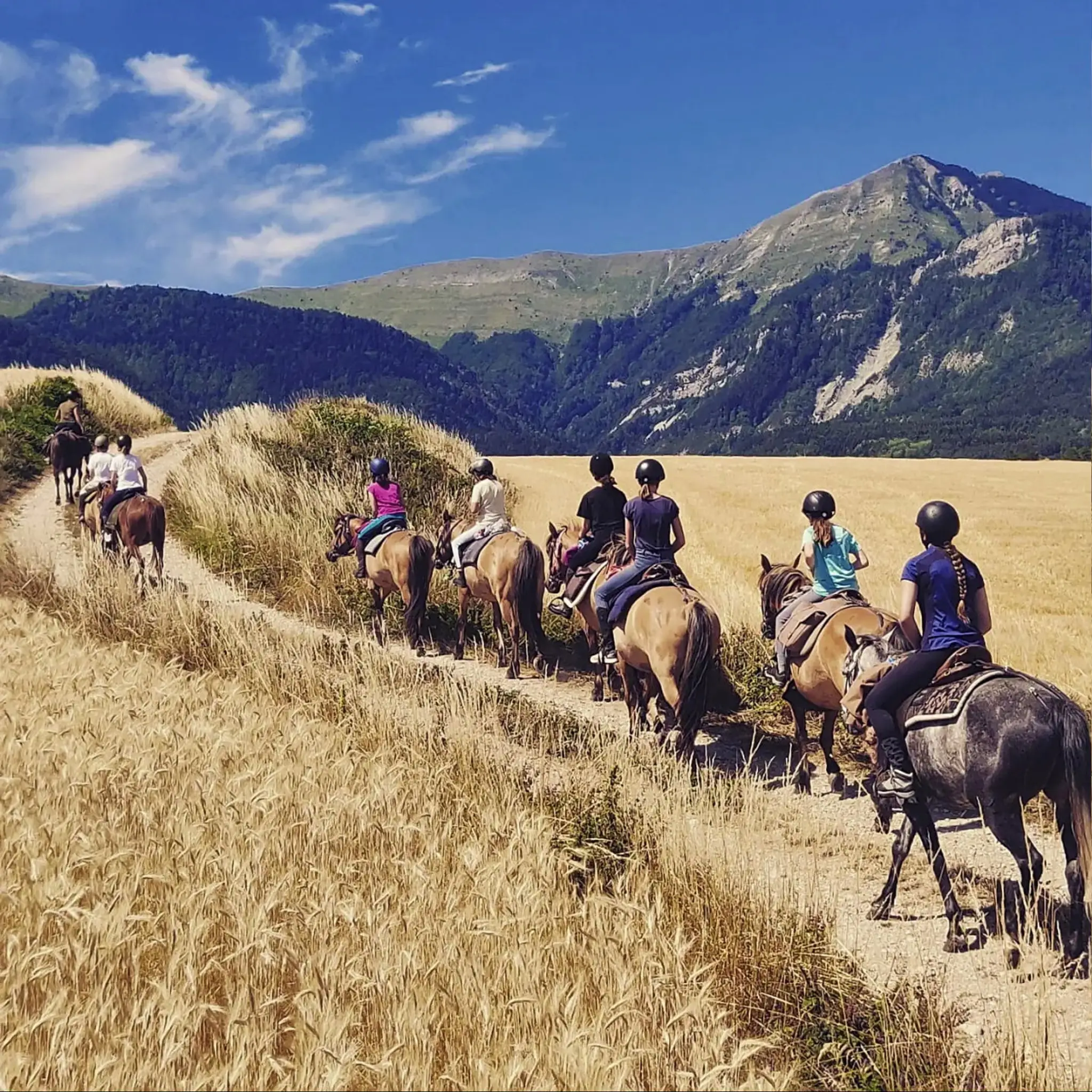 Alpes Cheval : Voyage et Rando équestre