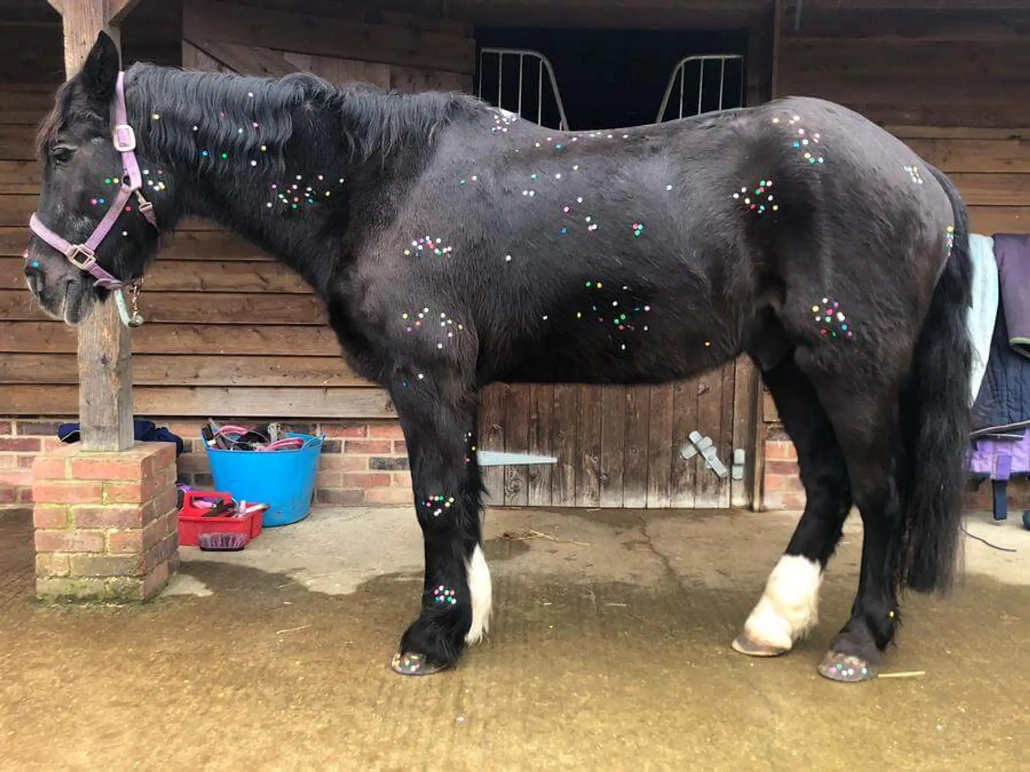 Little Wratting Riding School