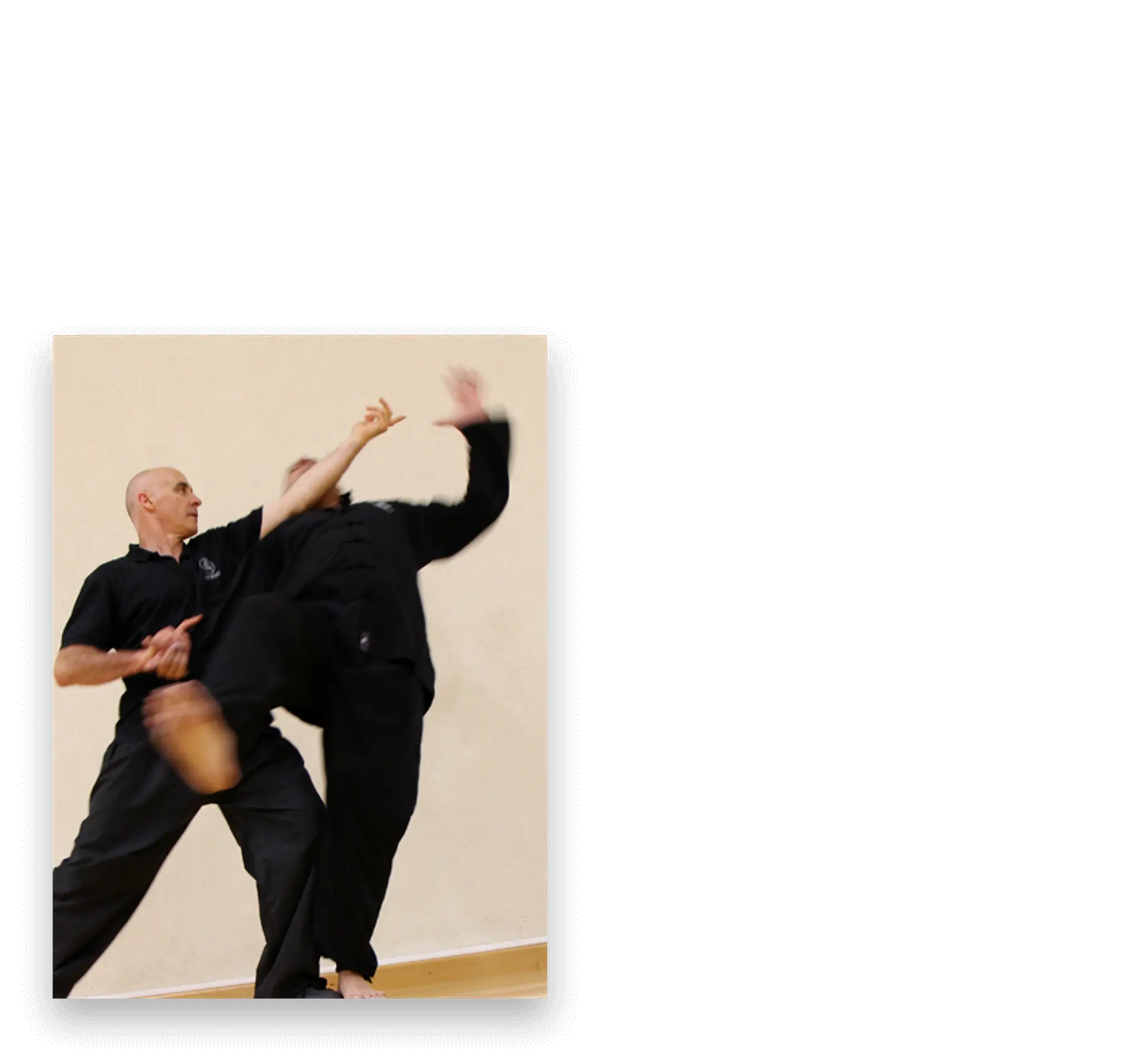 Qi Gong - Taijiquan - Self-Défense - Sabre Laser - "Hosukwan"
