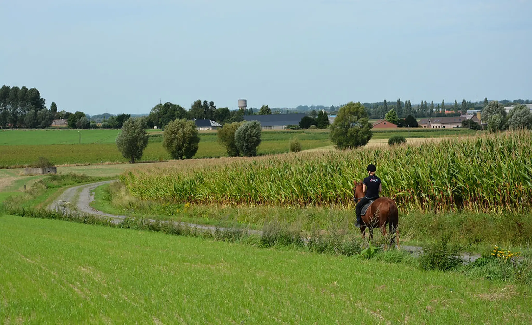Stables Du Mont