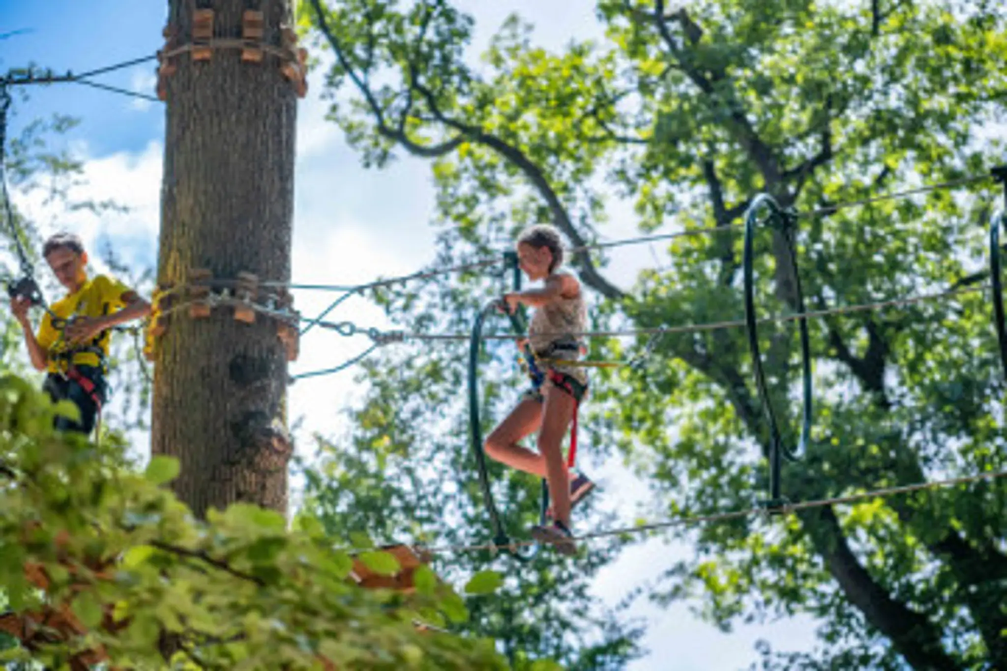 Jumping Forest, parc de loisirs et accrobranche
