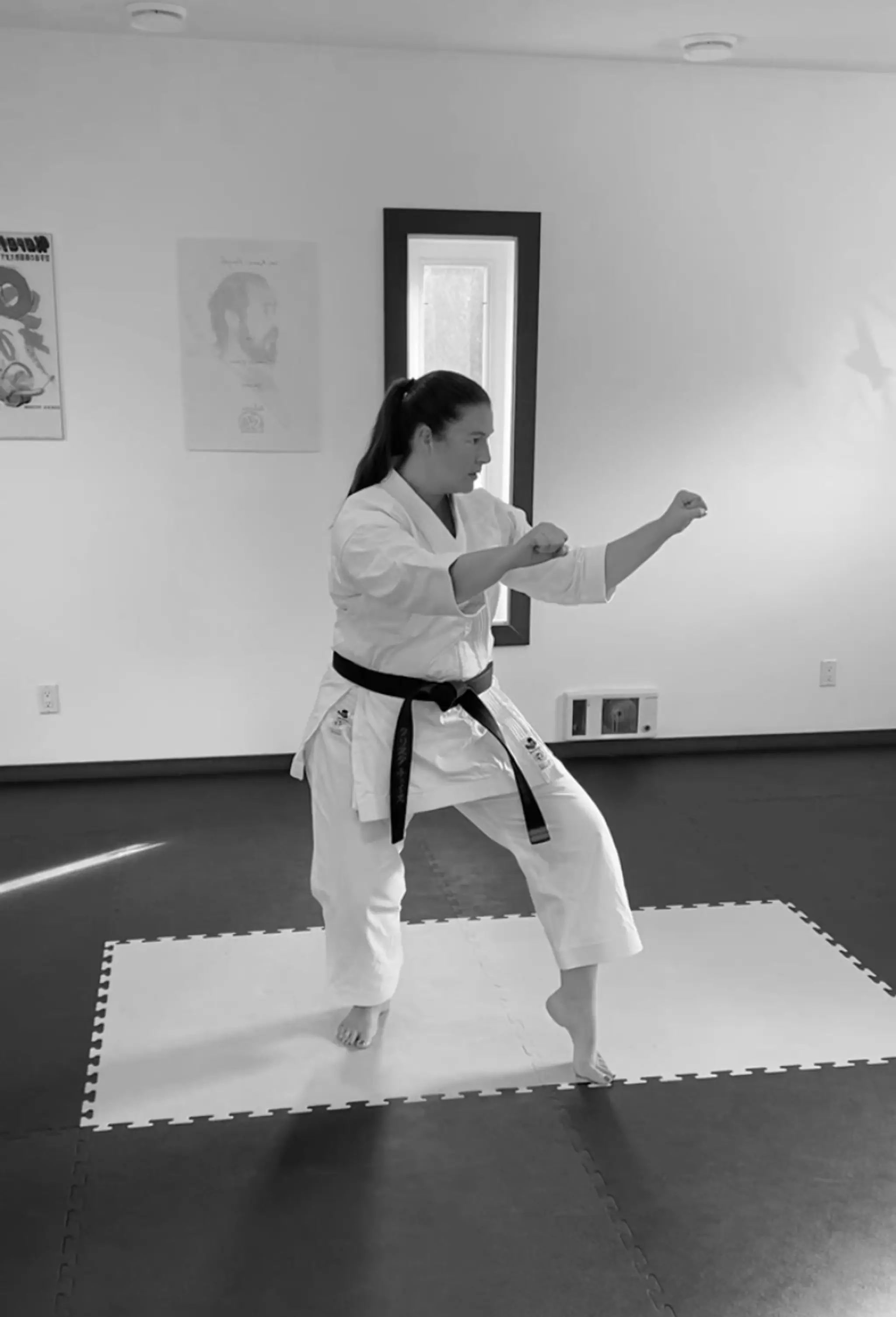 Kimura Shukokai Karate Royal Oak