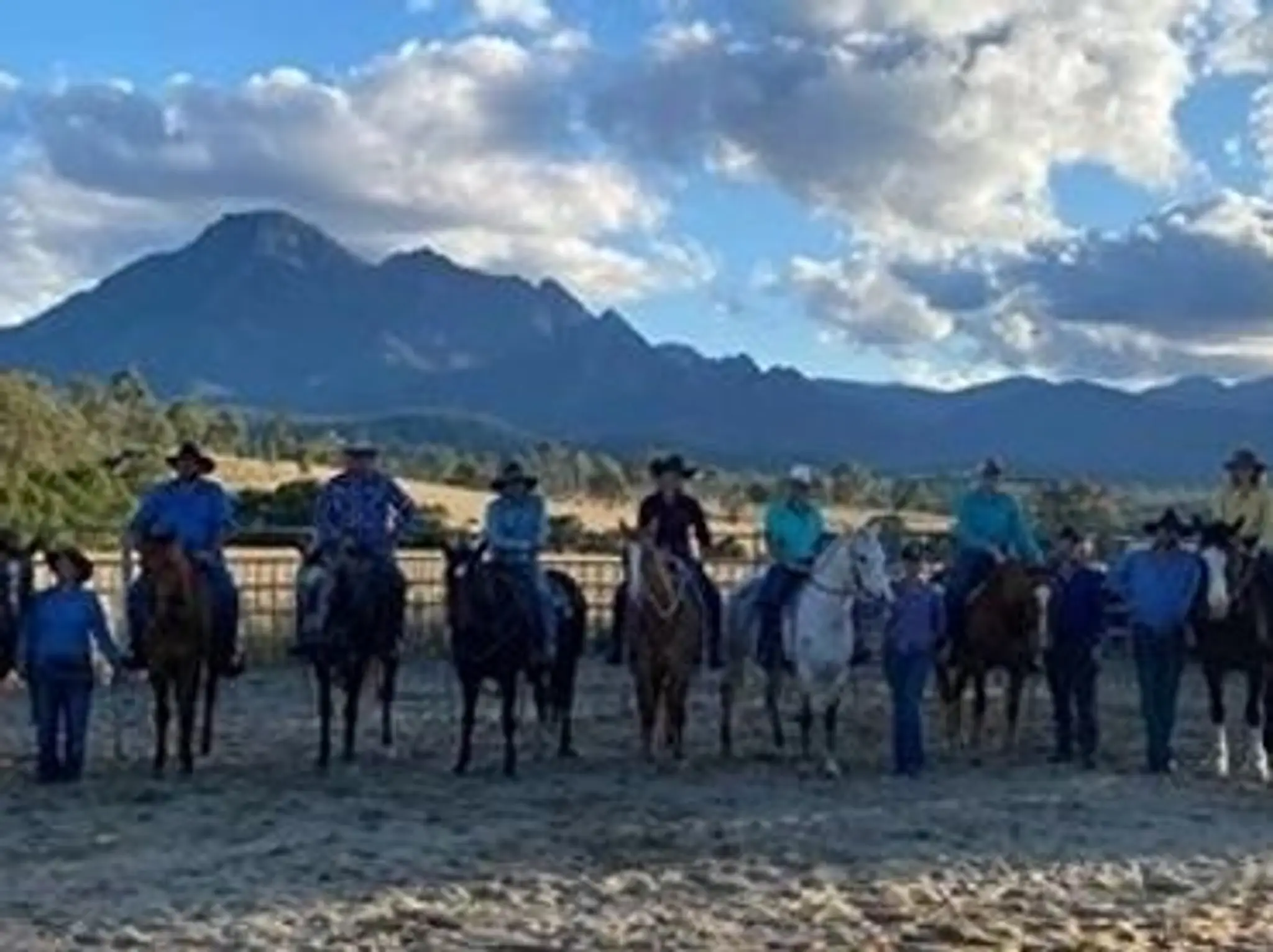 Syd Thew Horsemanship