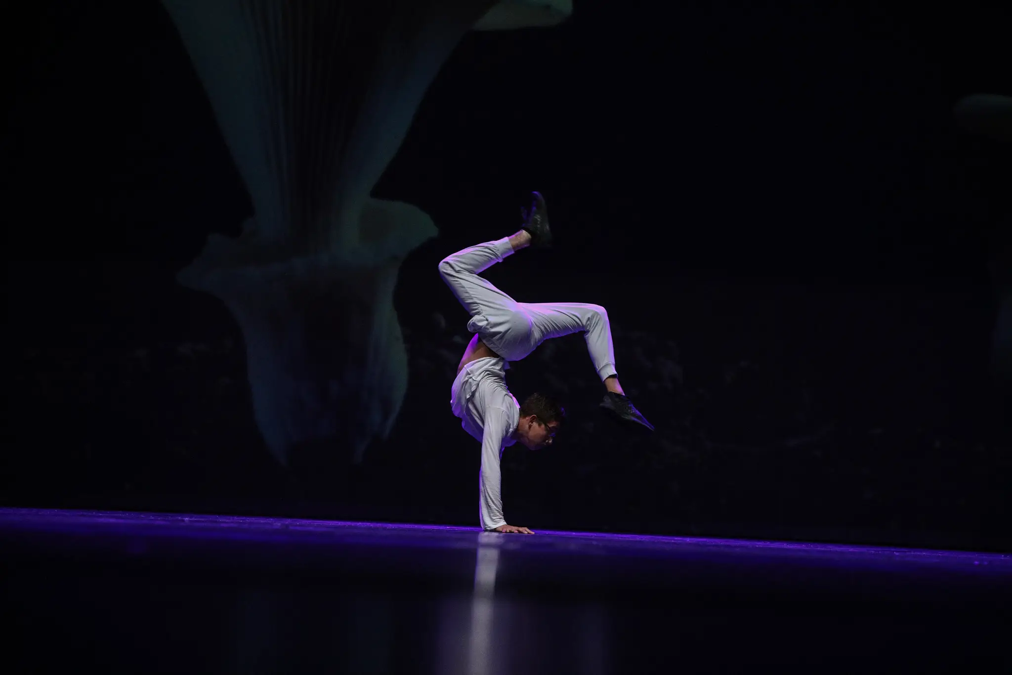 Dance School Jean-Baptiste Bartoli