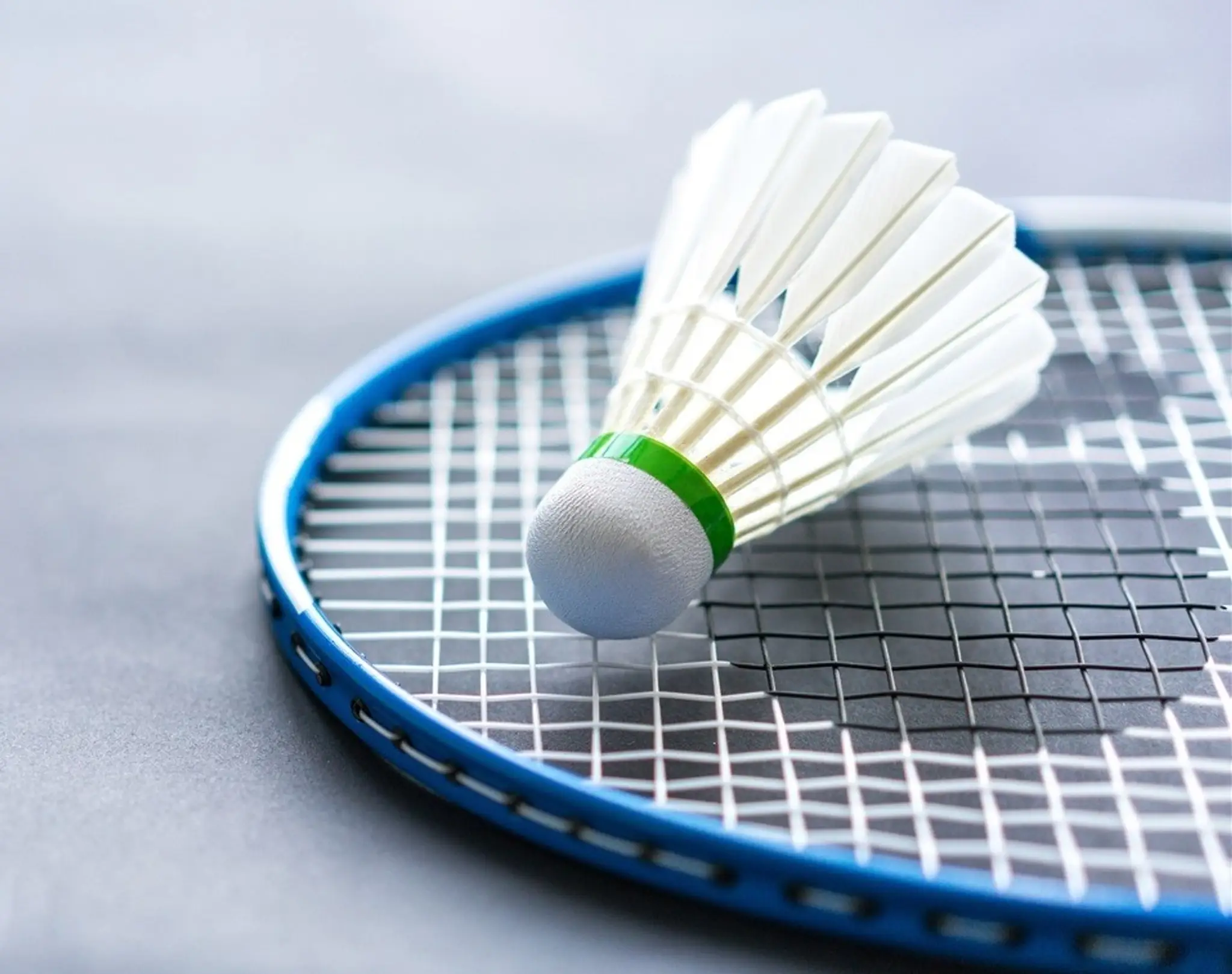 LES PLUMES VENDARGUOISES