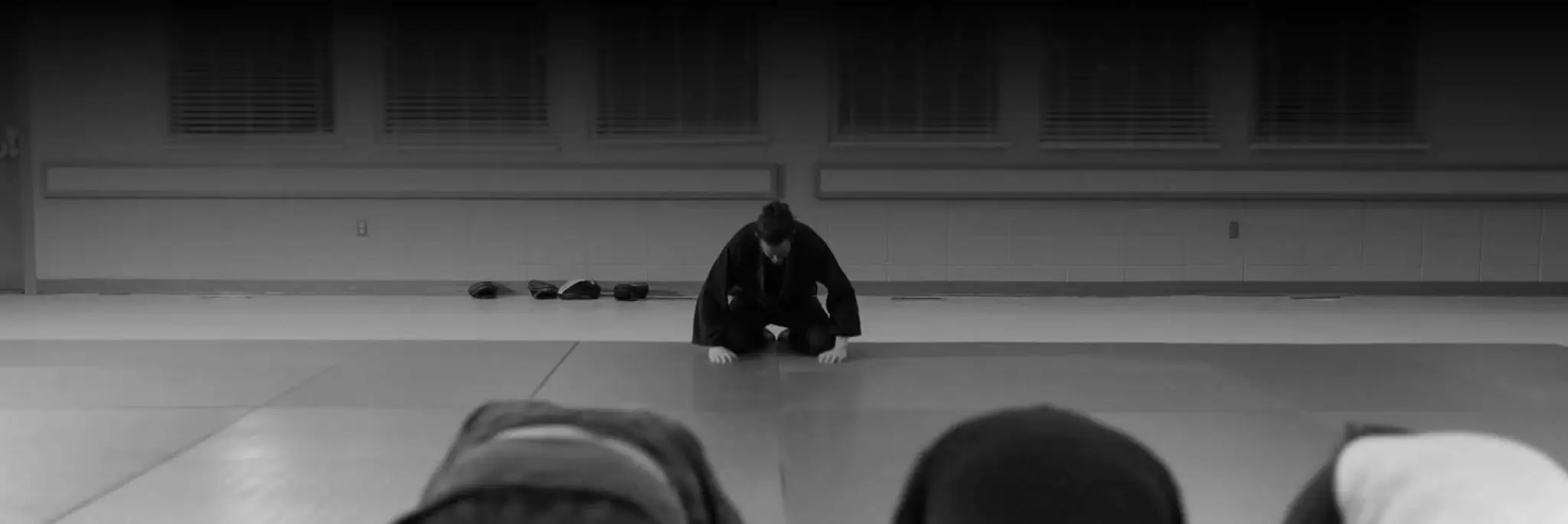 Panther Japanese Jujutsu