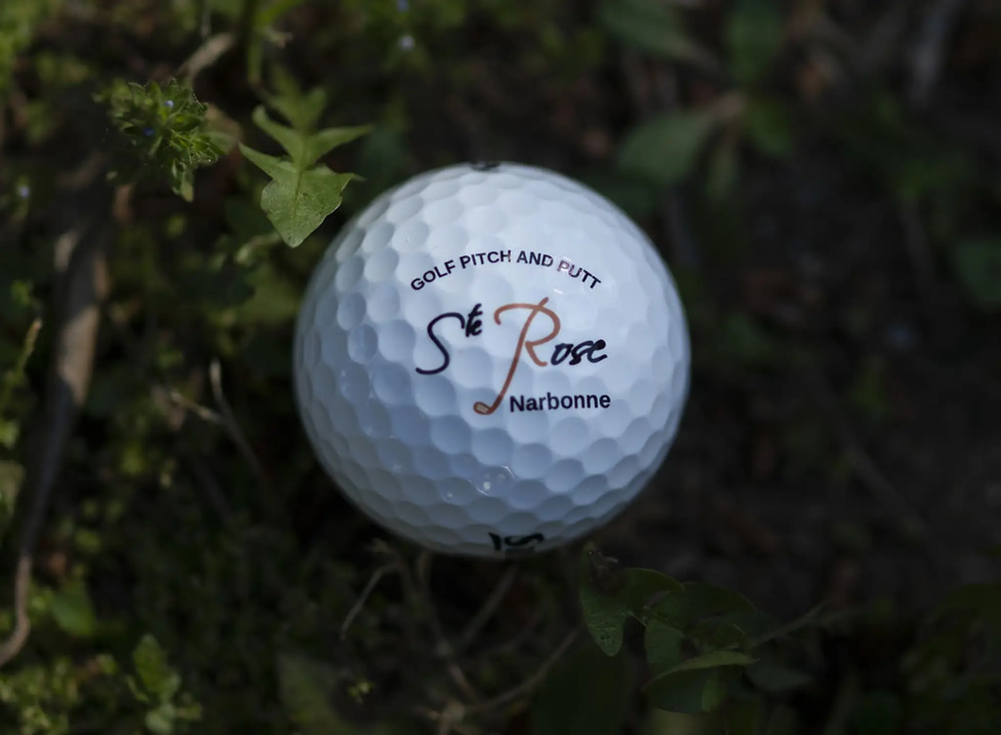 Golf Santa Rosa