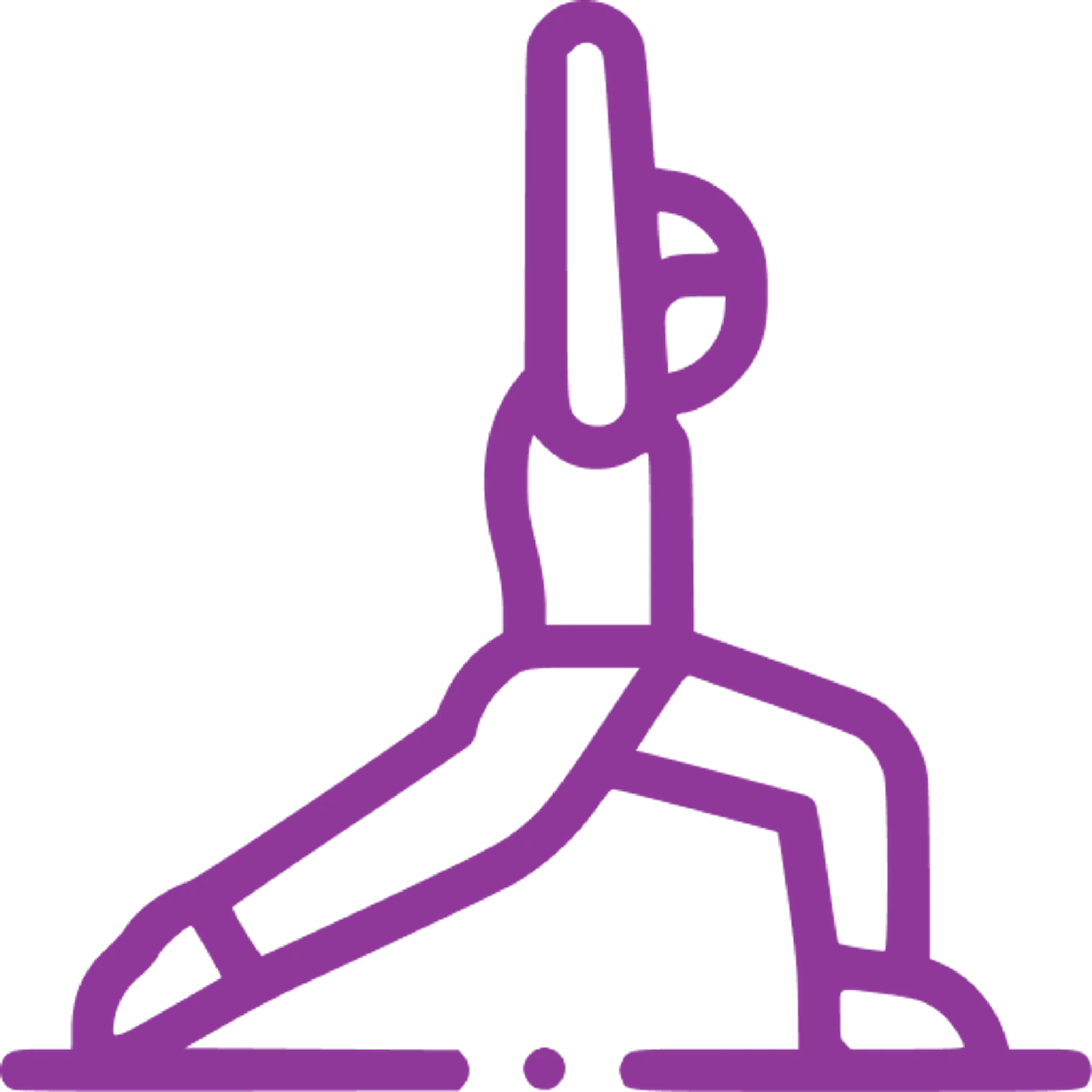 Vinyasa Yoga Studio