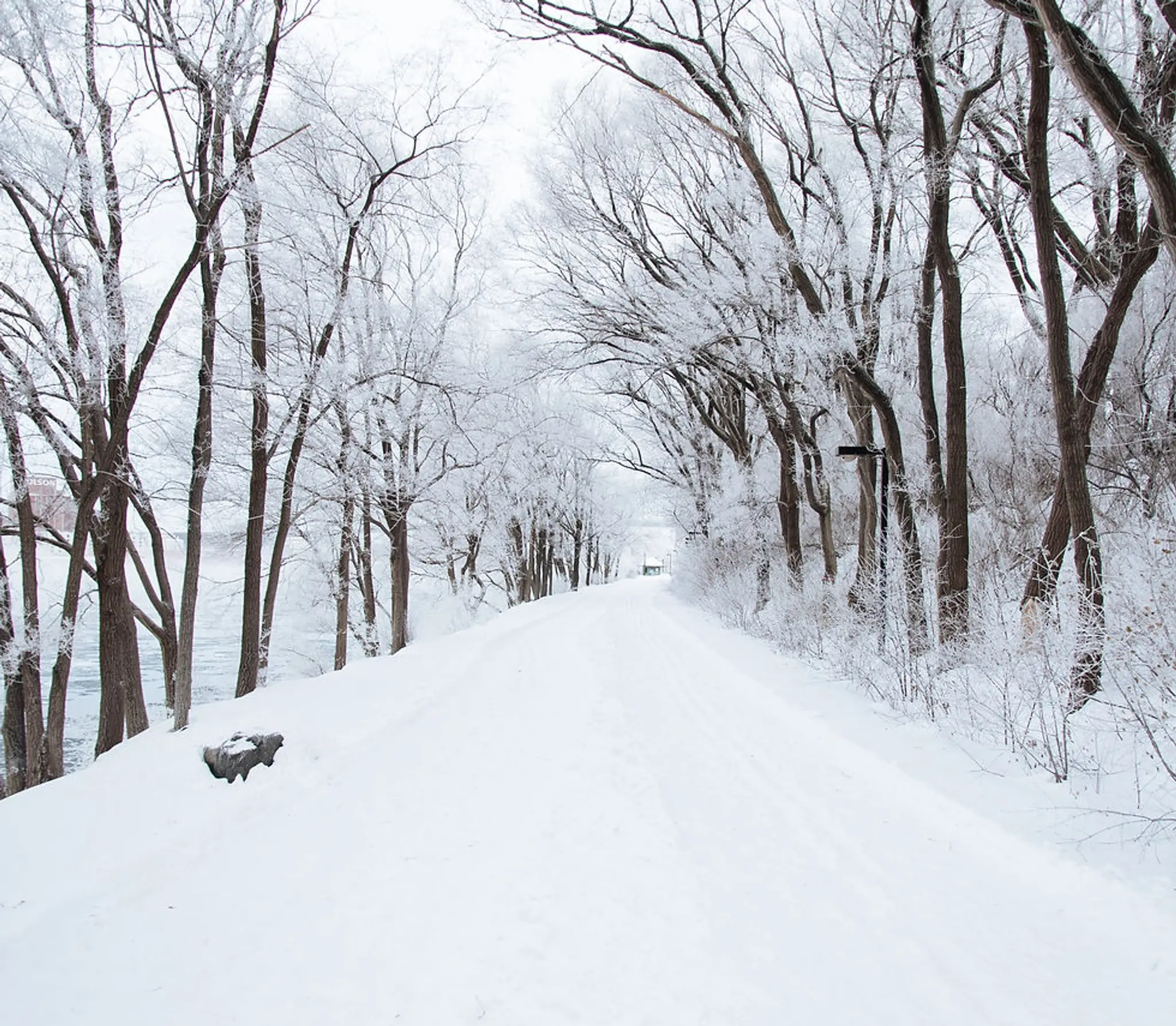 Club de soccer Lvis-Est