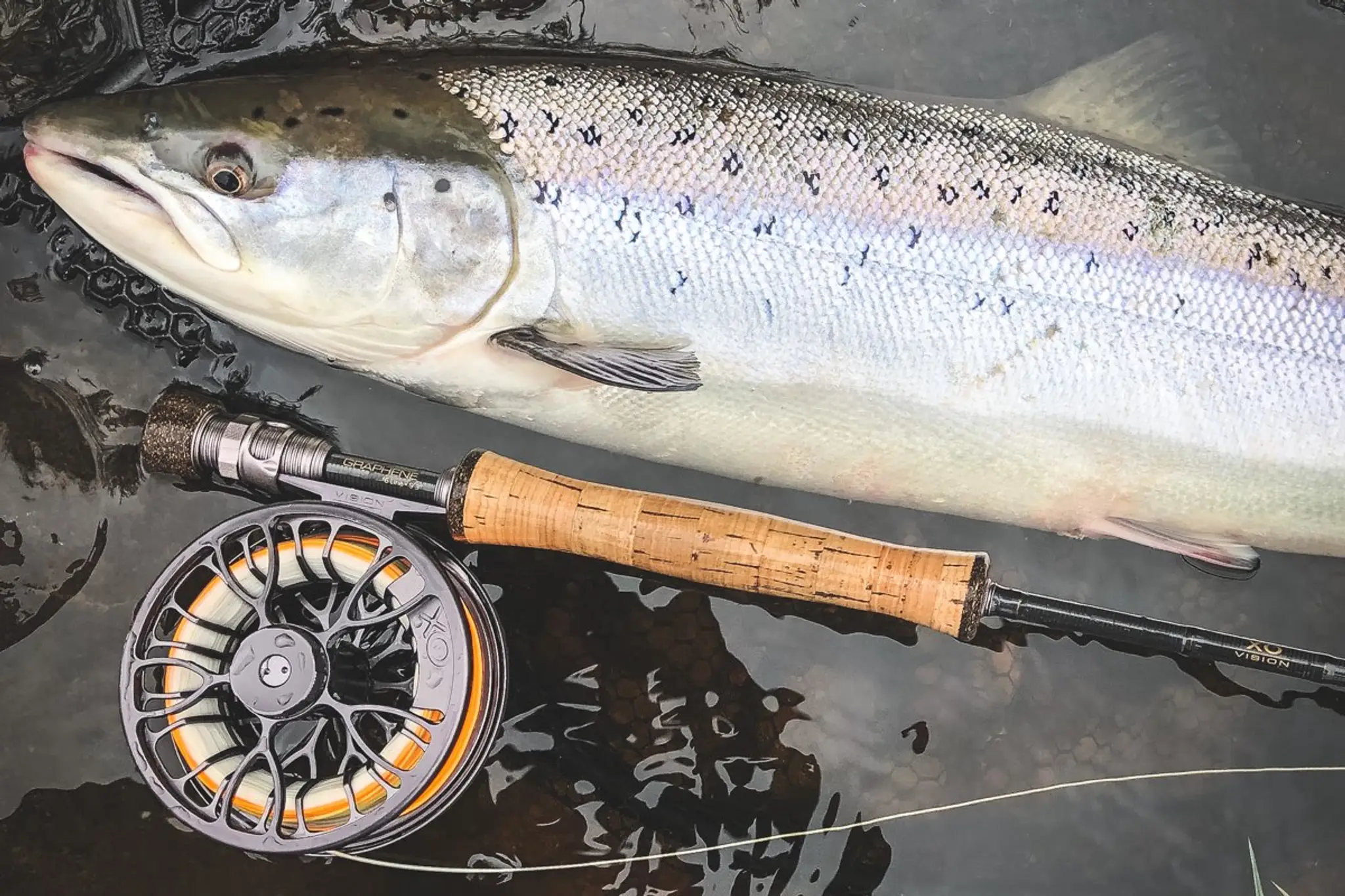 Yorkshire Fly-Fishers Club