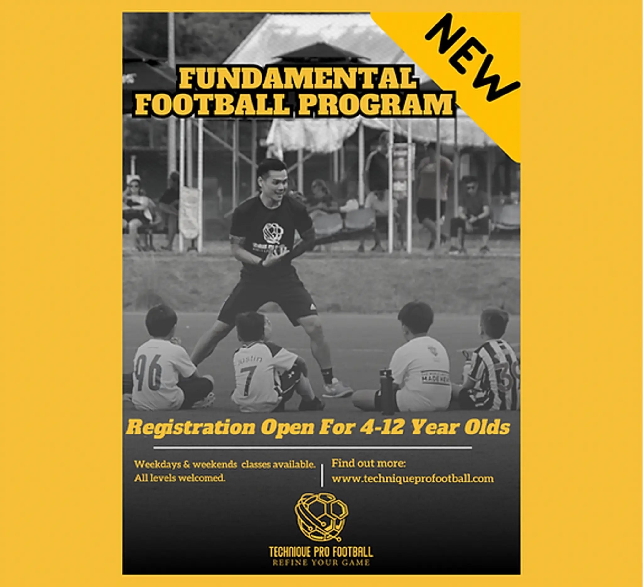 Technique Pro Football