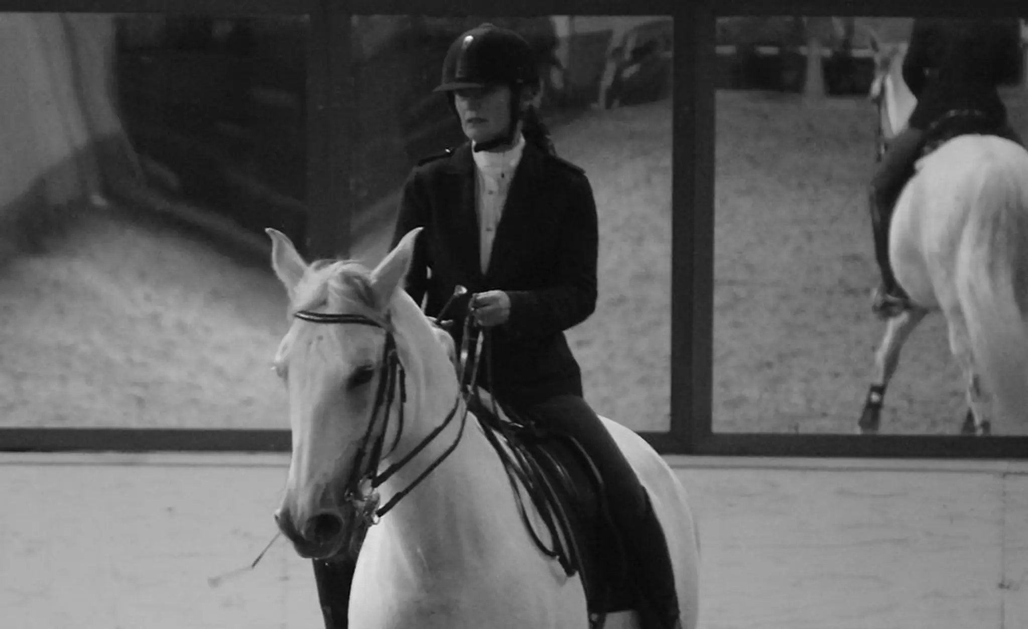 Equine Encounters / Classical Dressage / Legerete / Riding Lessons