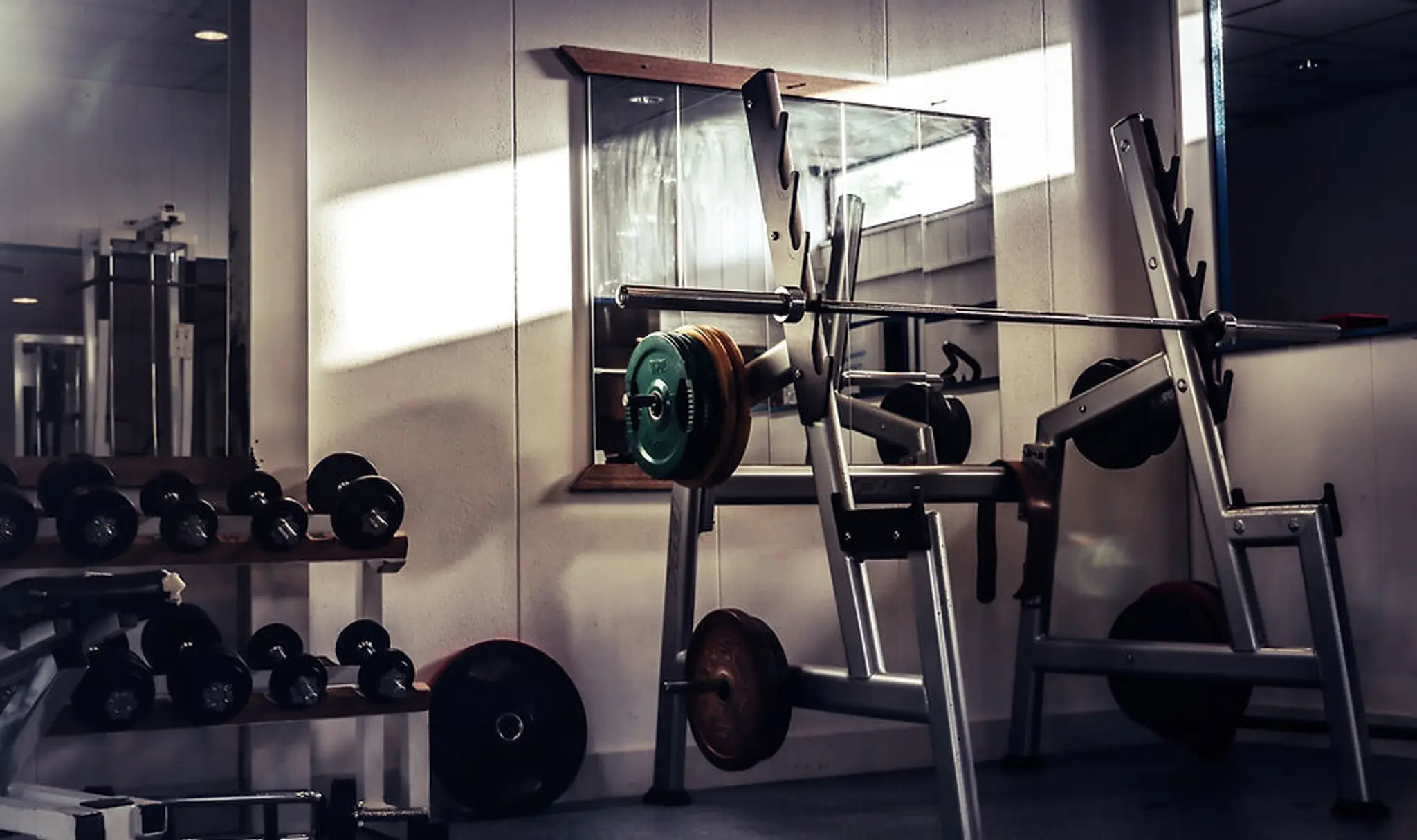 Oliver Noakes - Personal Training & Online Coaching